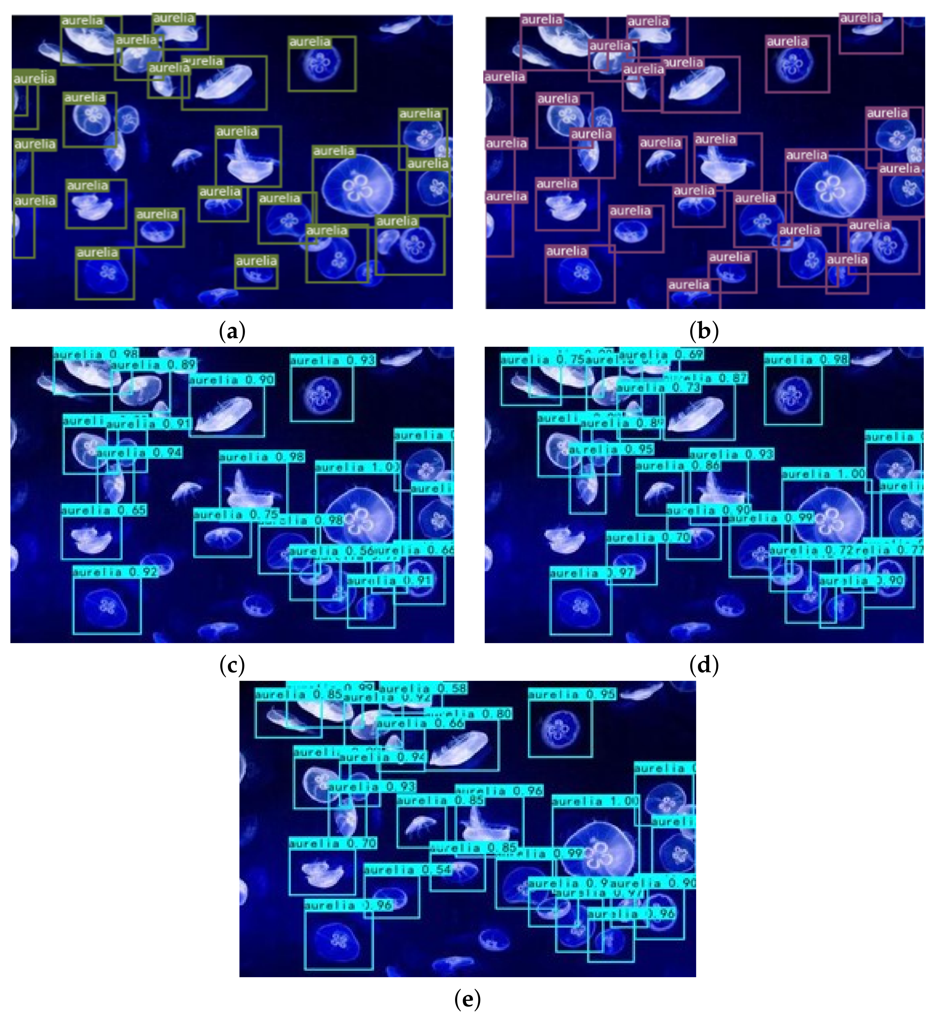 Sensors 21 08160 g010 550