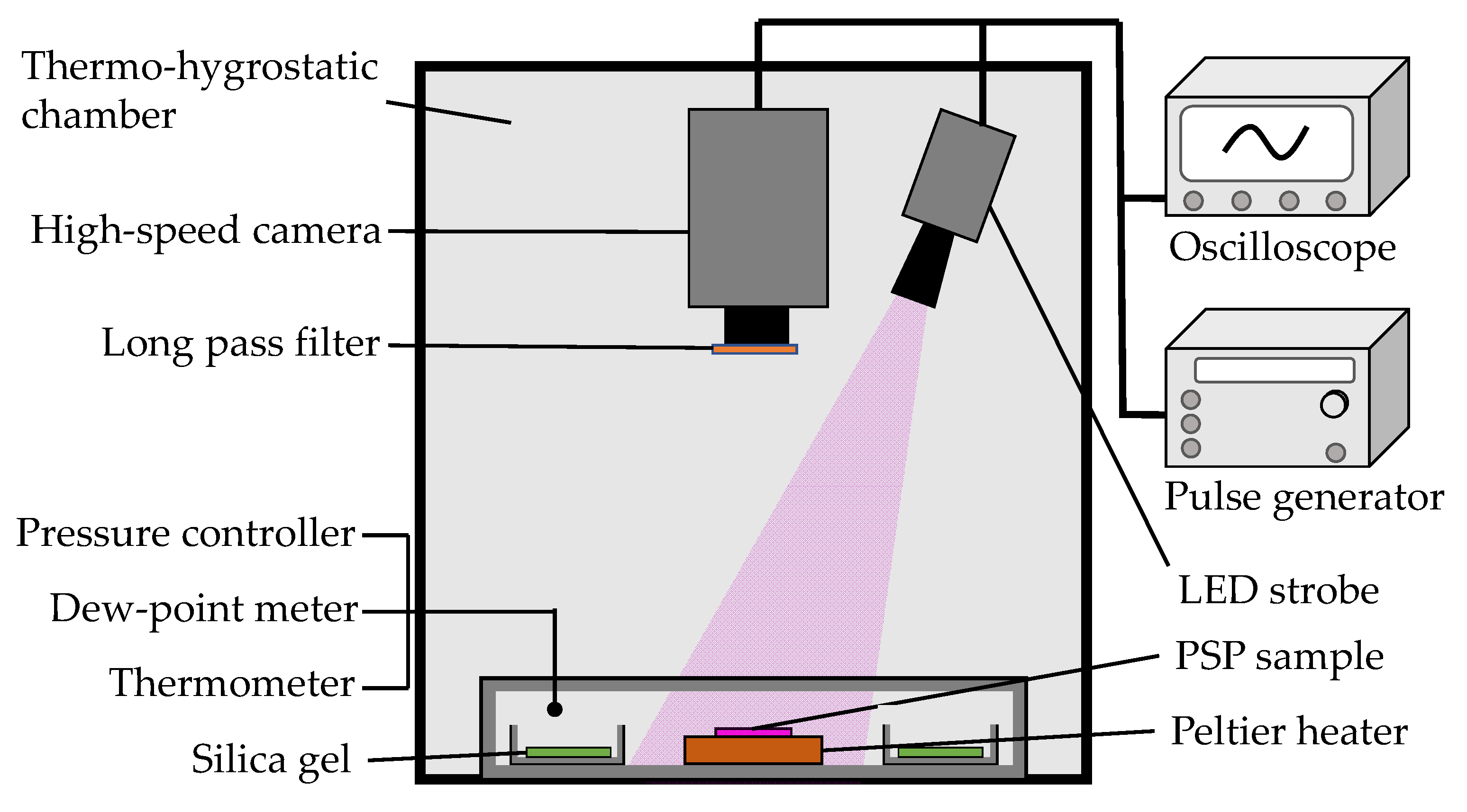 Sensors 21 08177 g002 Sensors 21 08177 g002