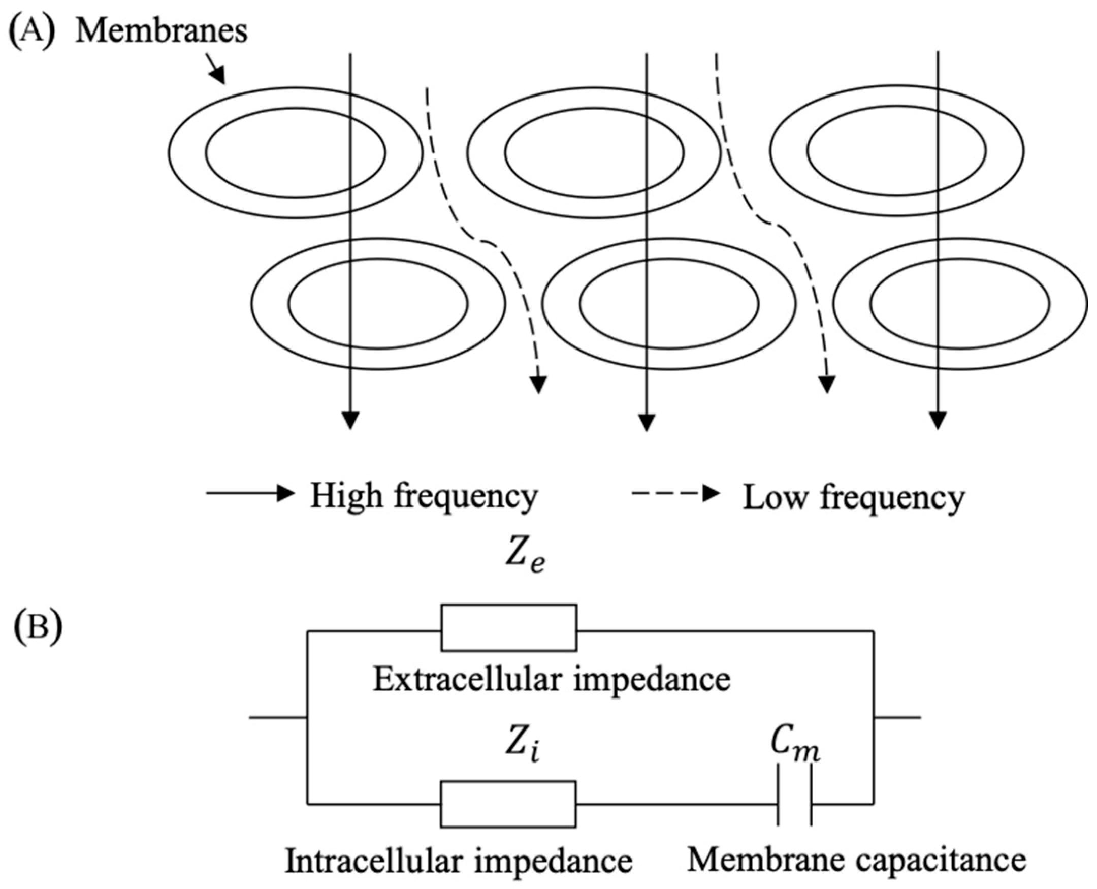 Sensors 21 08187 g001