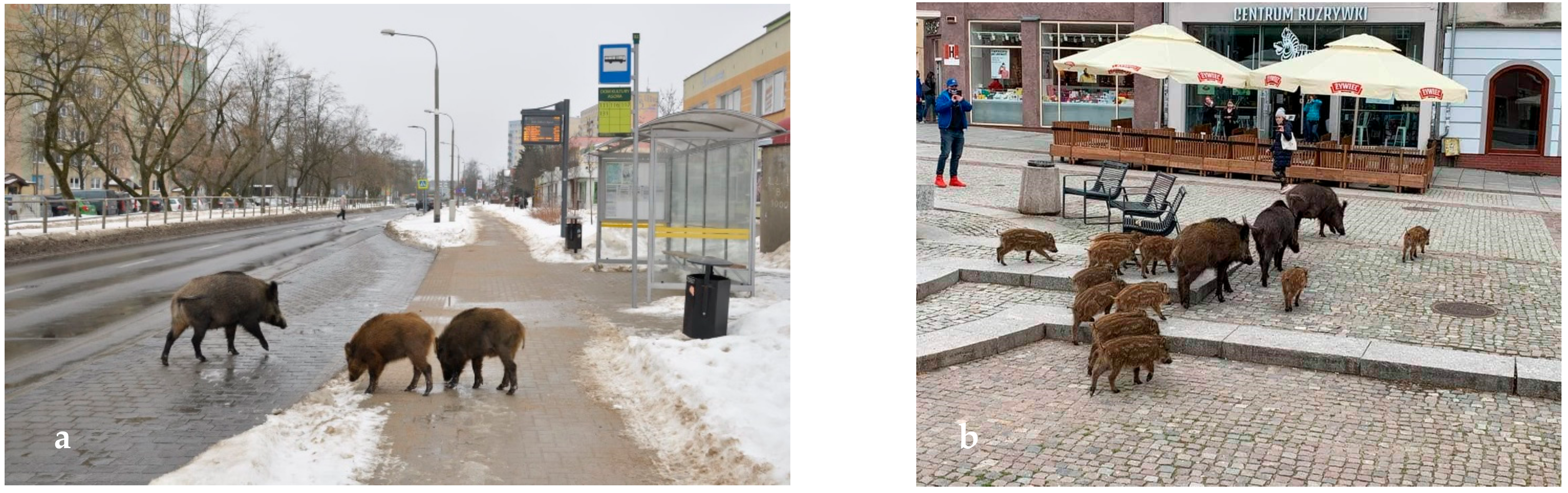 Sensors 21 08215 g003 550