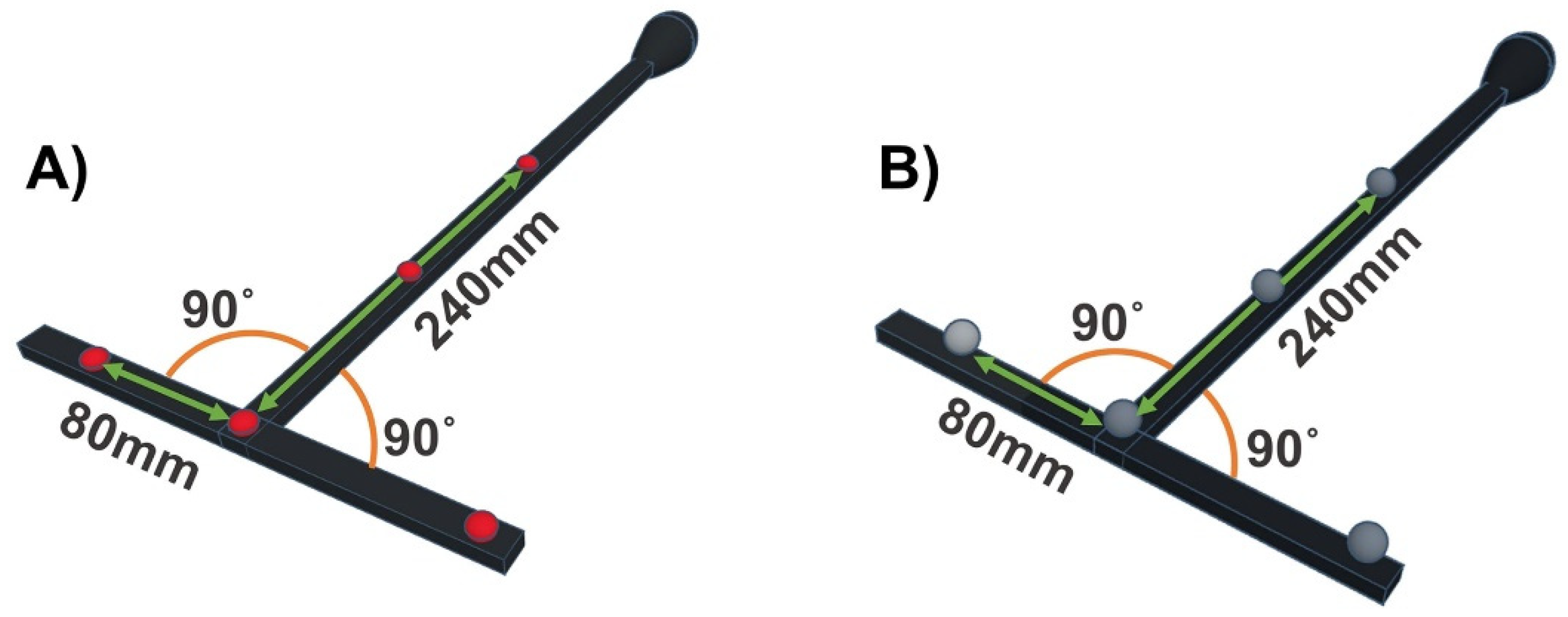 Sensors 21 08223 g001 Sensors 21 08223 g001
