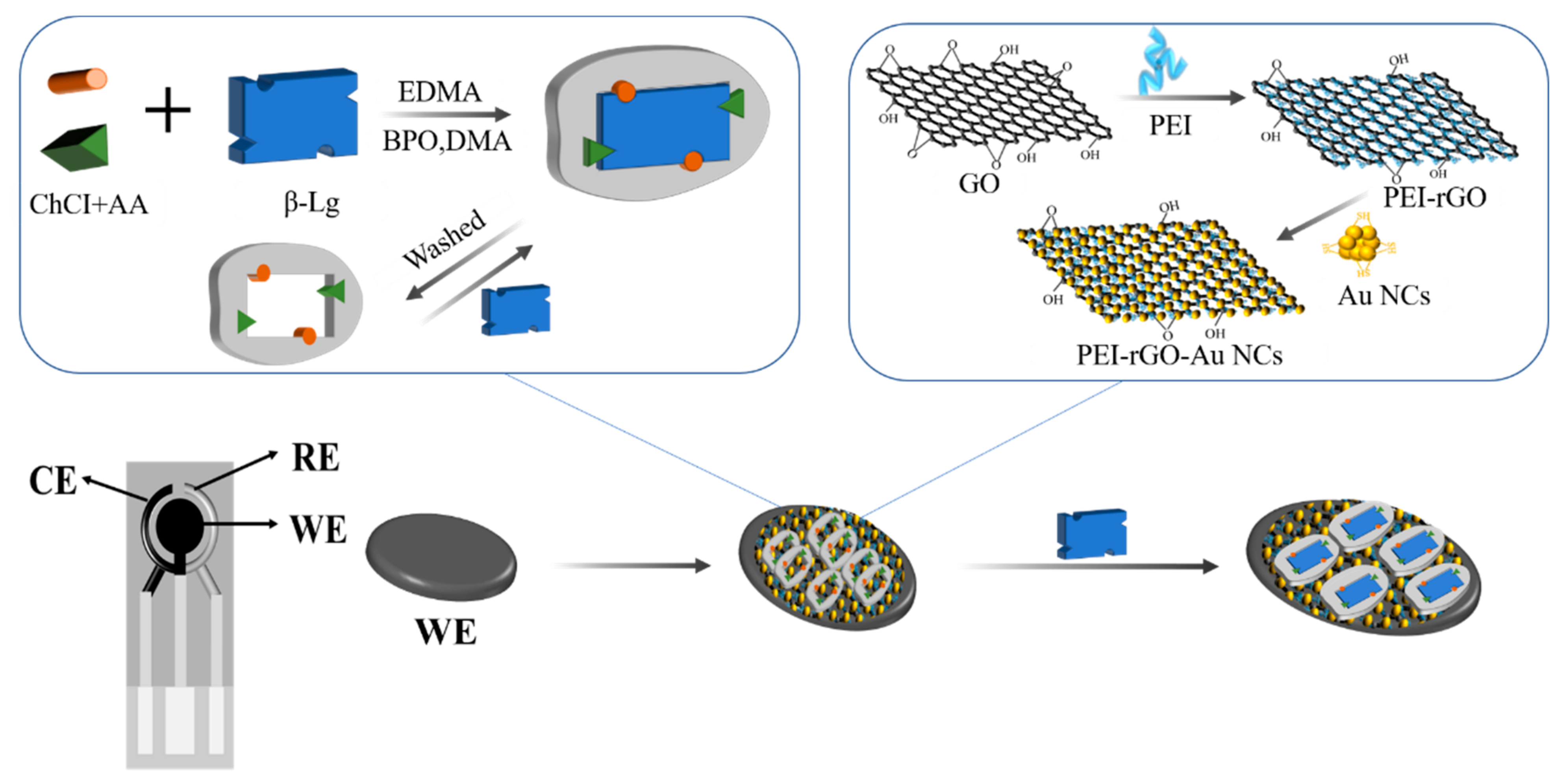 Sensors 21 08240 g001