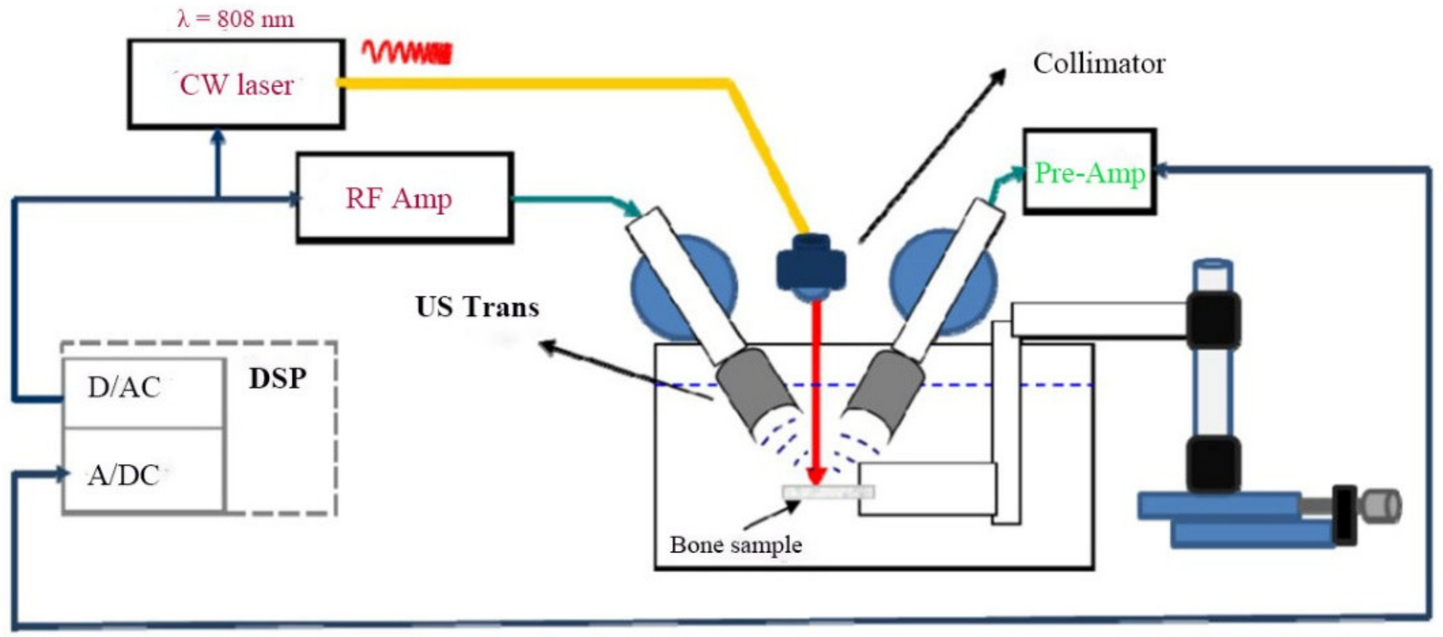 Sensors 21 08243 g001