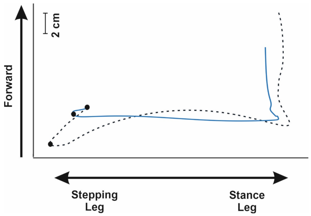 Sensors 21 08244 g002 Sensors 21 08244 g002
