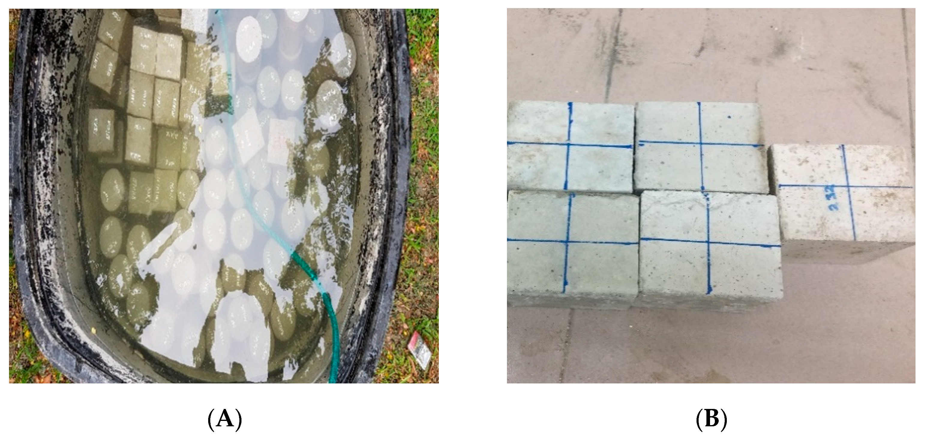 Sensors 21 08256 g001 550