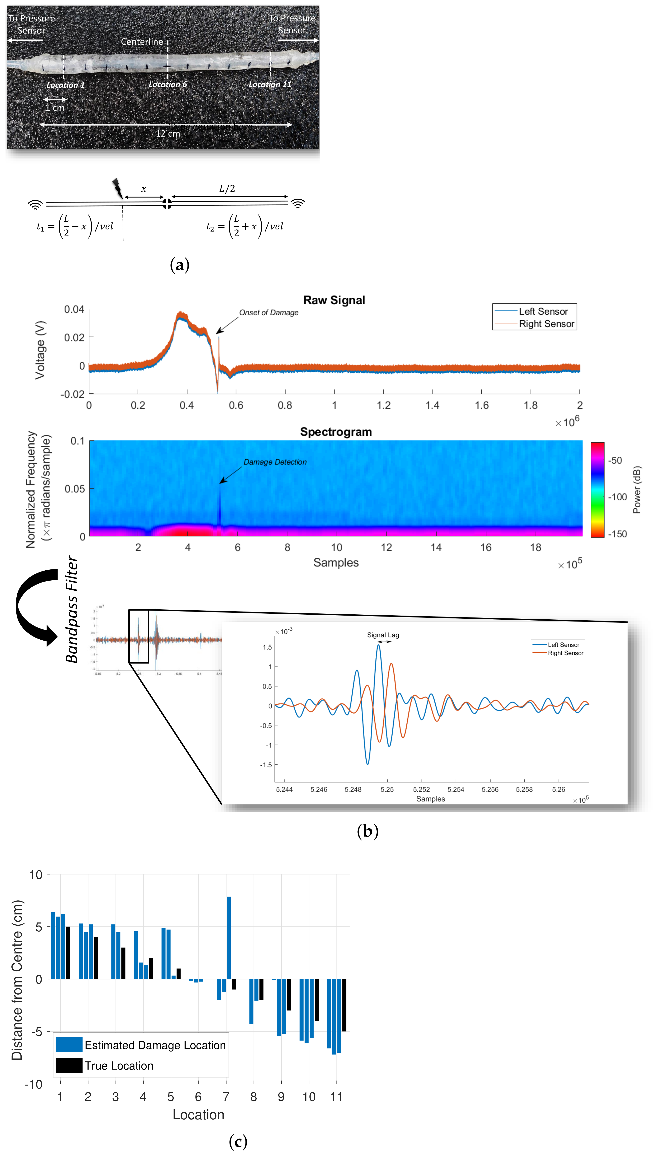Sensors 21 08284 g003