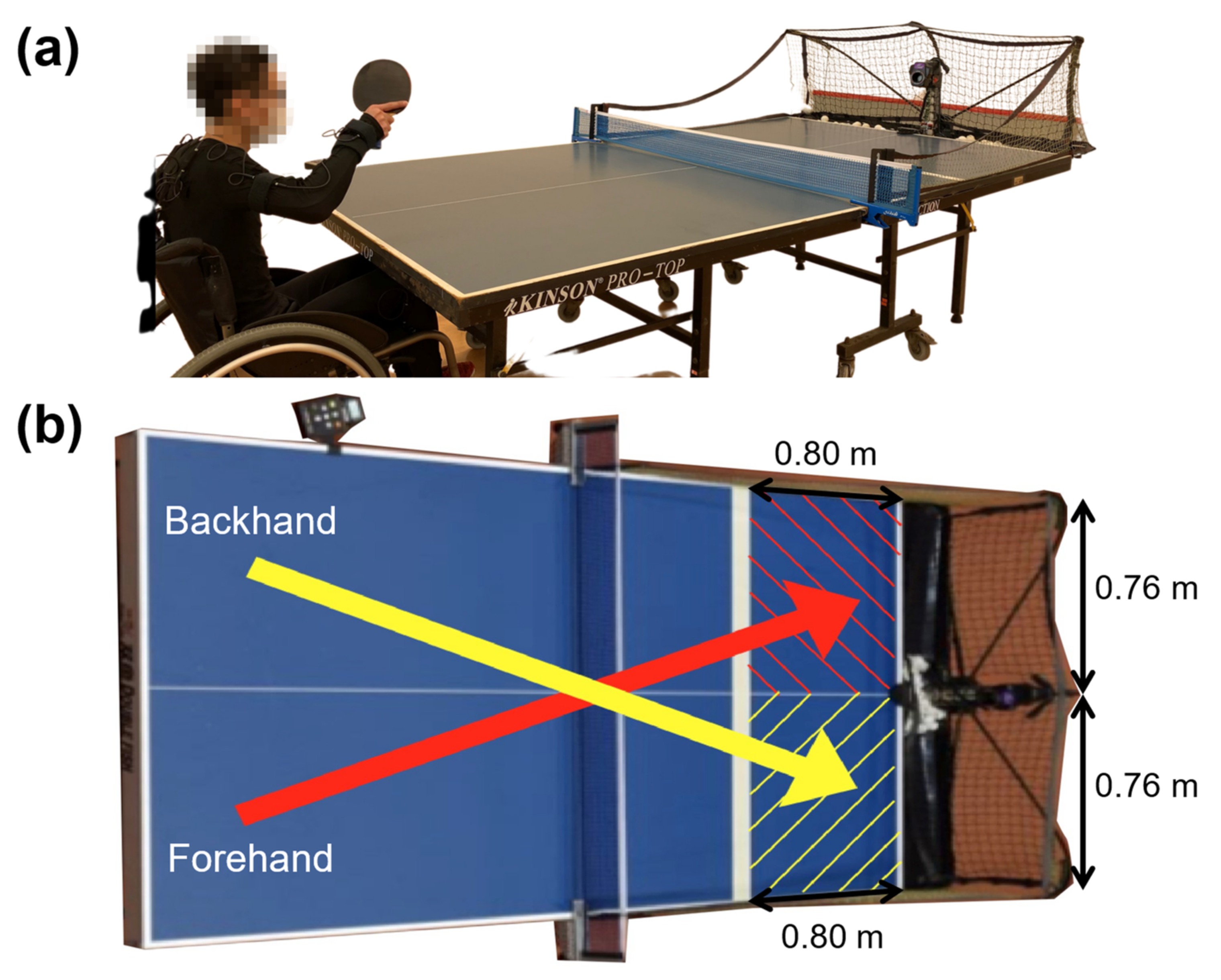 Sensors 21 08303 g002 550