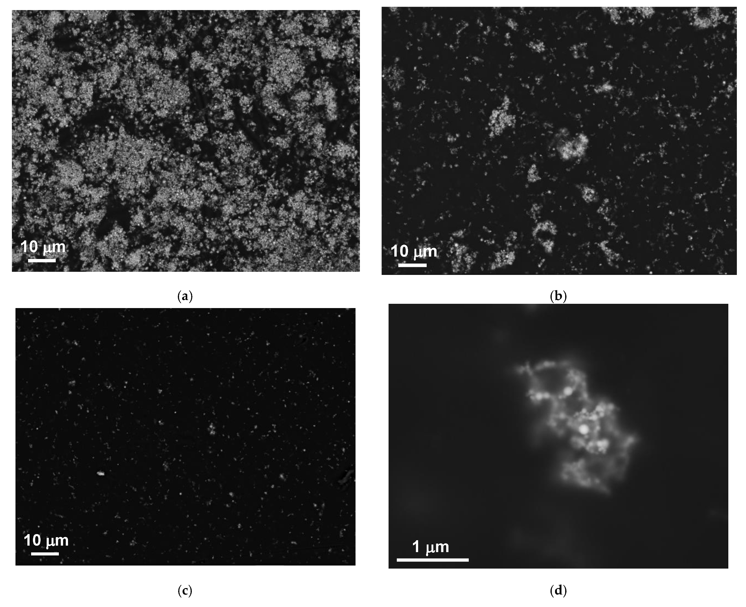 Sensors 21 08311 g005 550