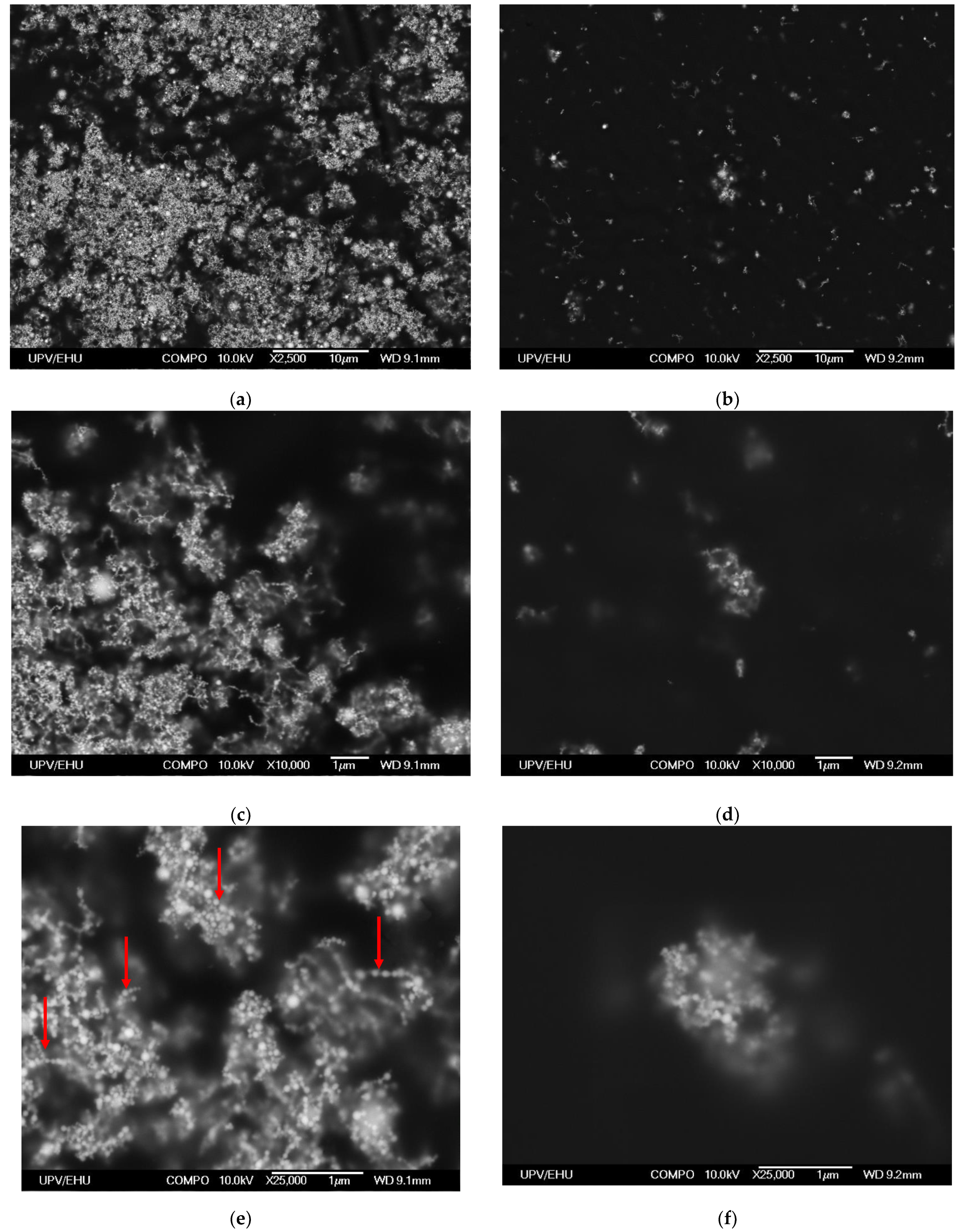 Sensors 21 08311 g006 550