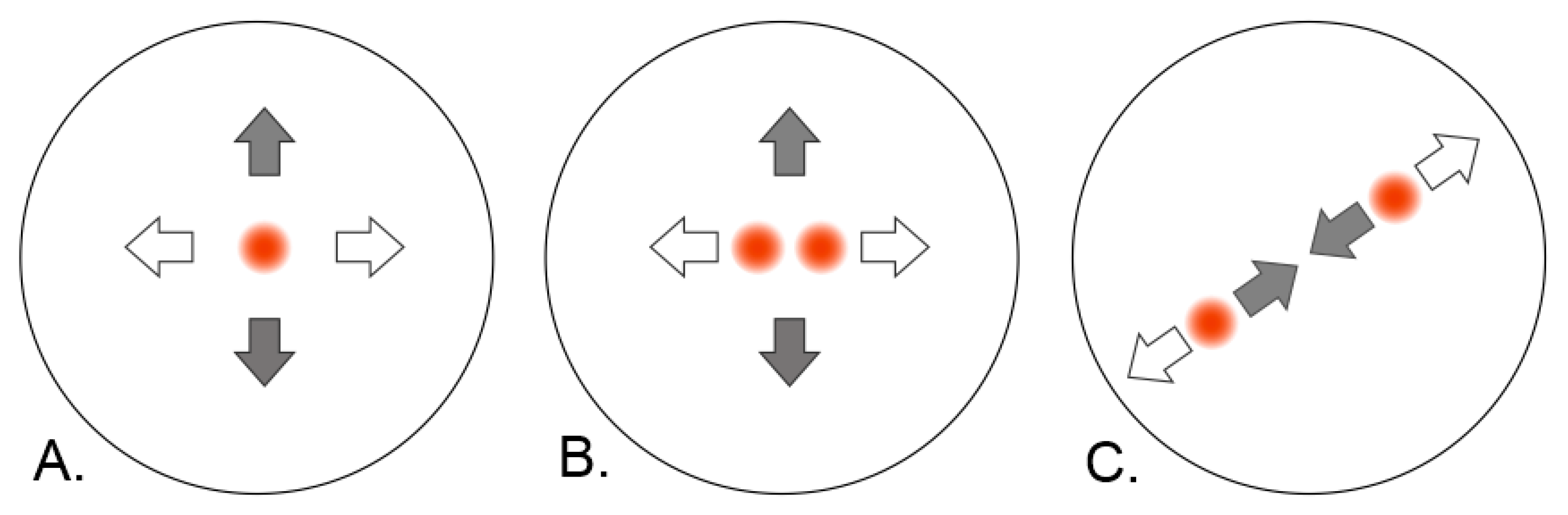 Sensors 21 08329 g005 550