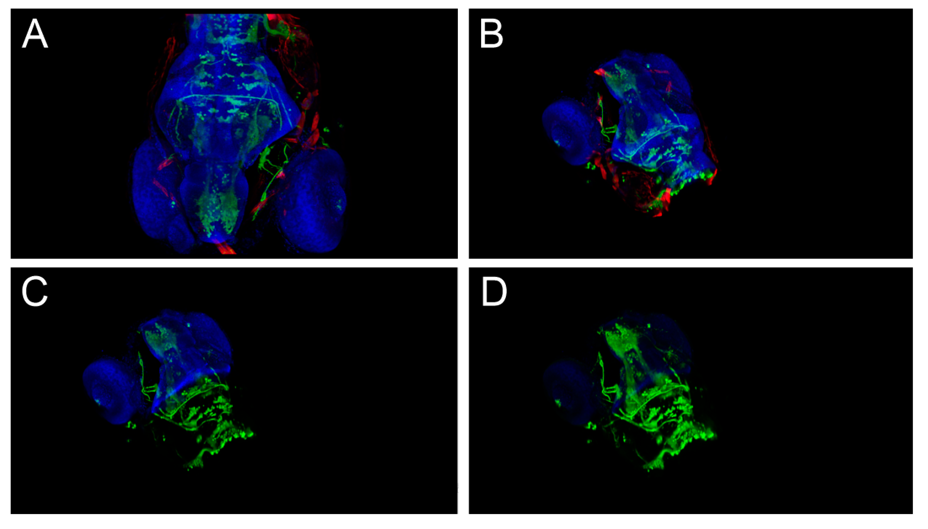 Sensors 21 08329 g012 550