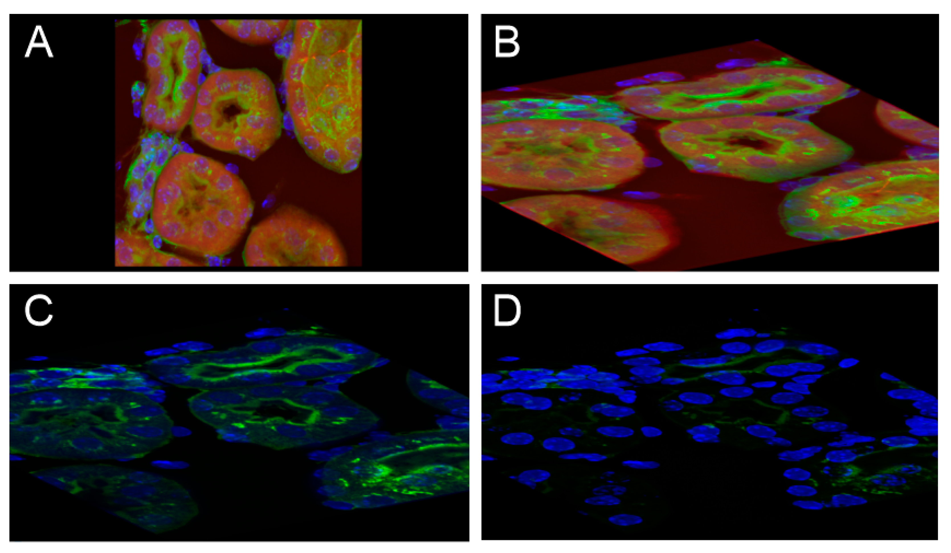 Sensors 21 08329 g013 550