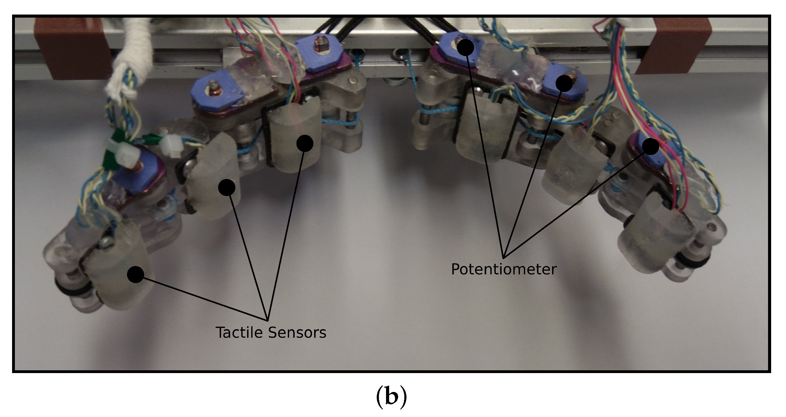 Sensors 21 08339 g002b