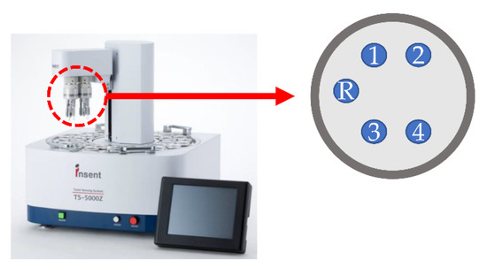 Electrical Properties of Two Types of Membrane Component