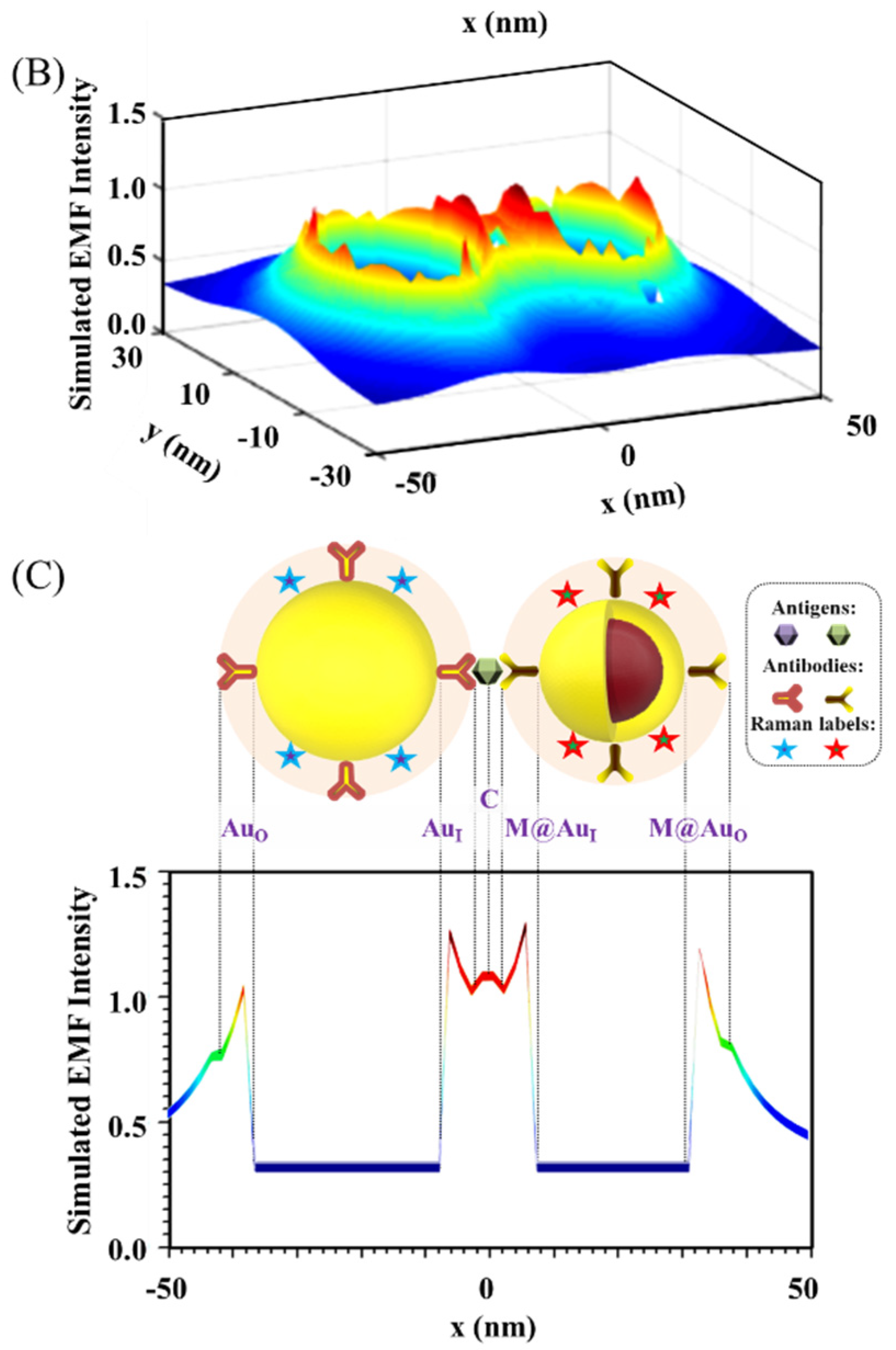 Sensors 21 08345 g002b Sensors 21 08345 g002b