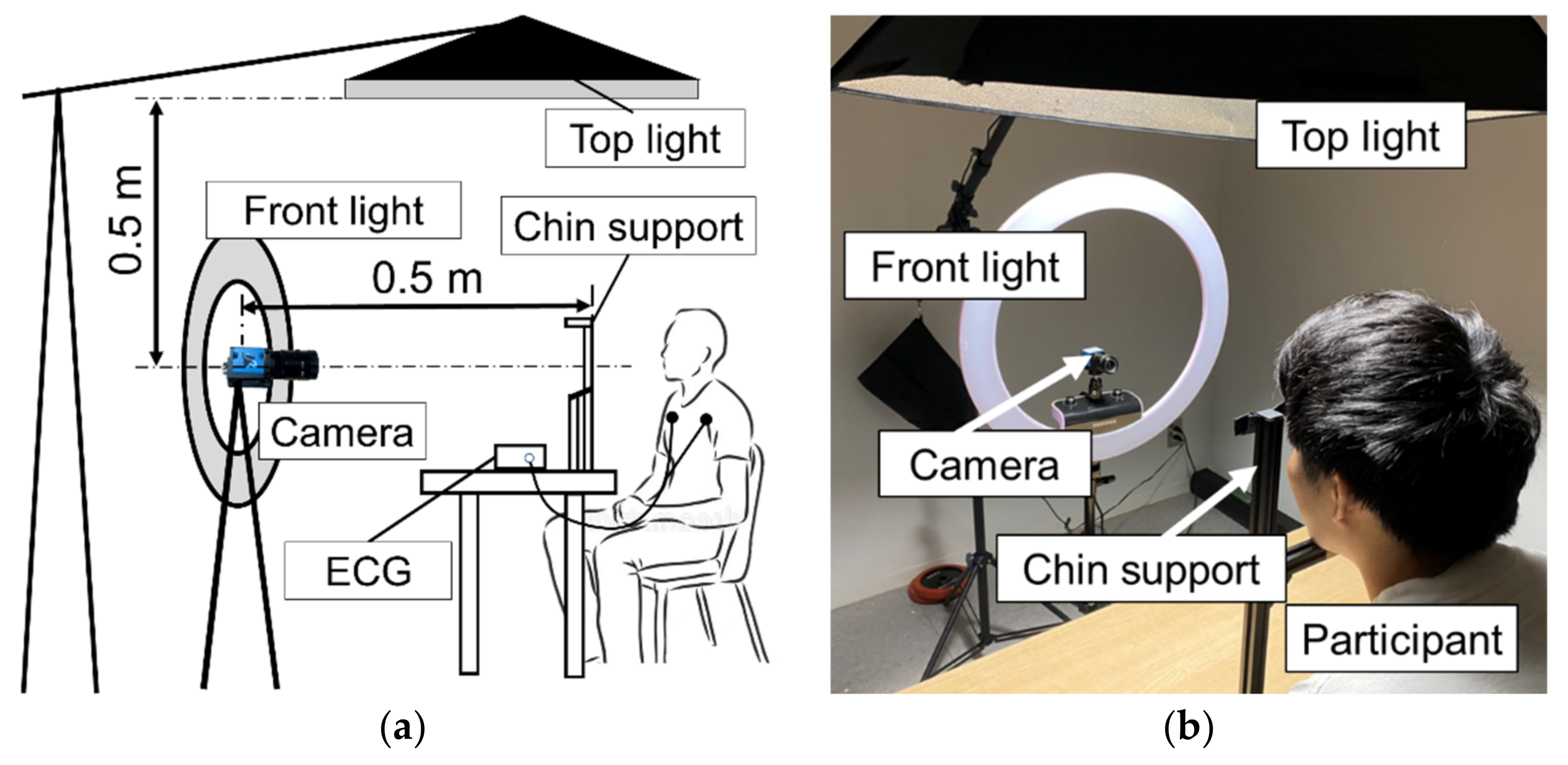 Sensors 21 08357 g001 550