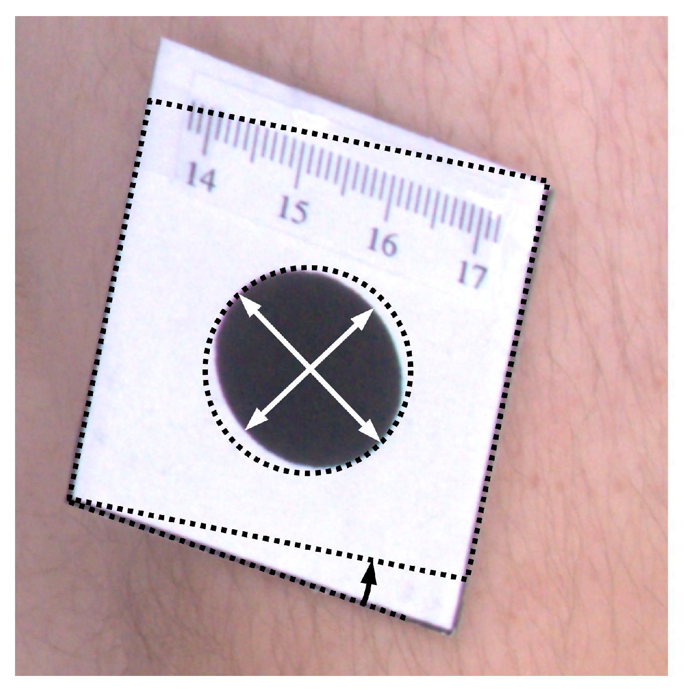 Sensors 21 08367 g007 550