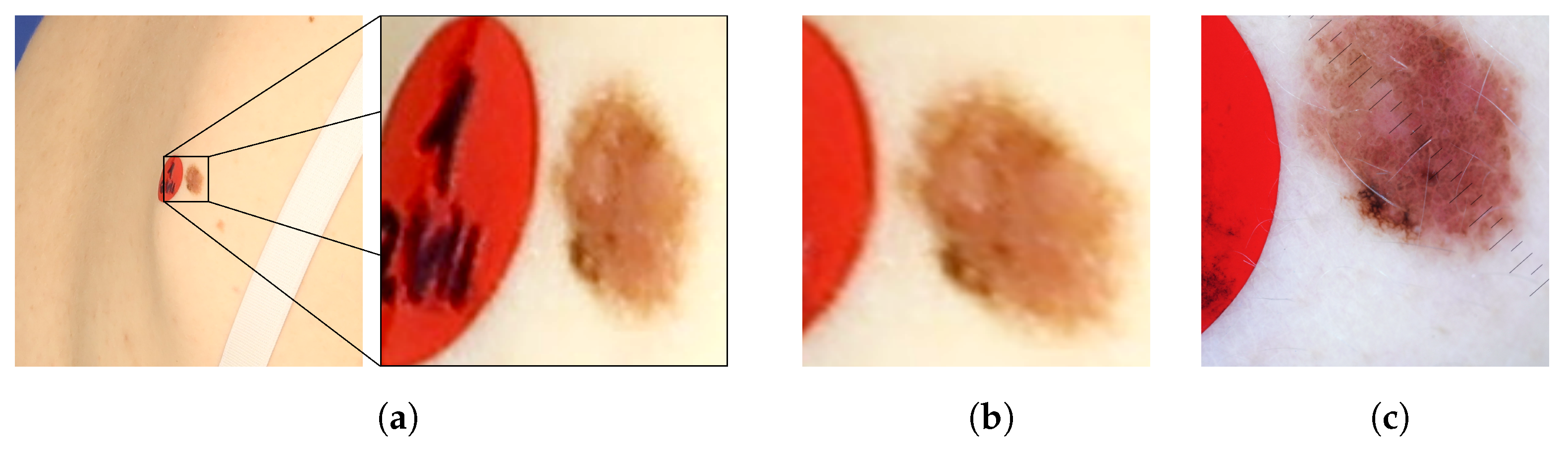 Sensors 21 08367 g008 550