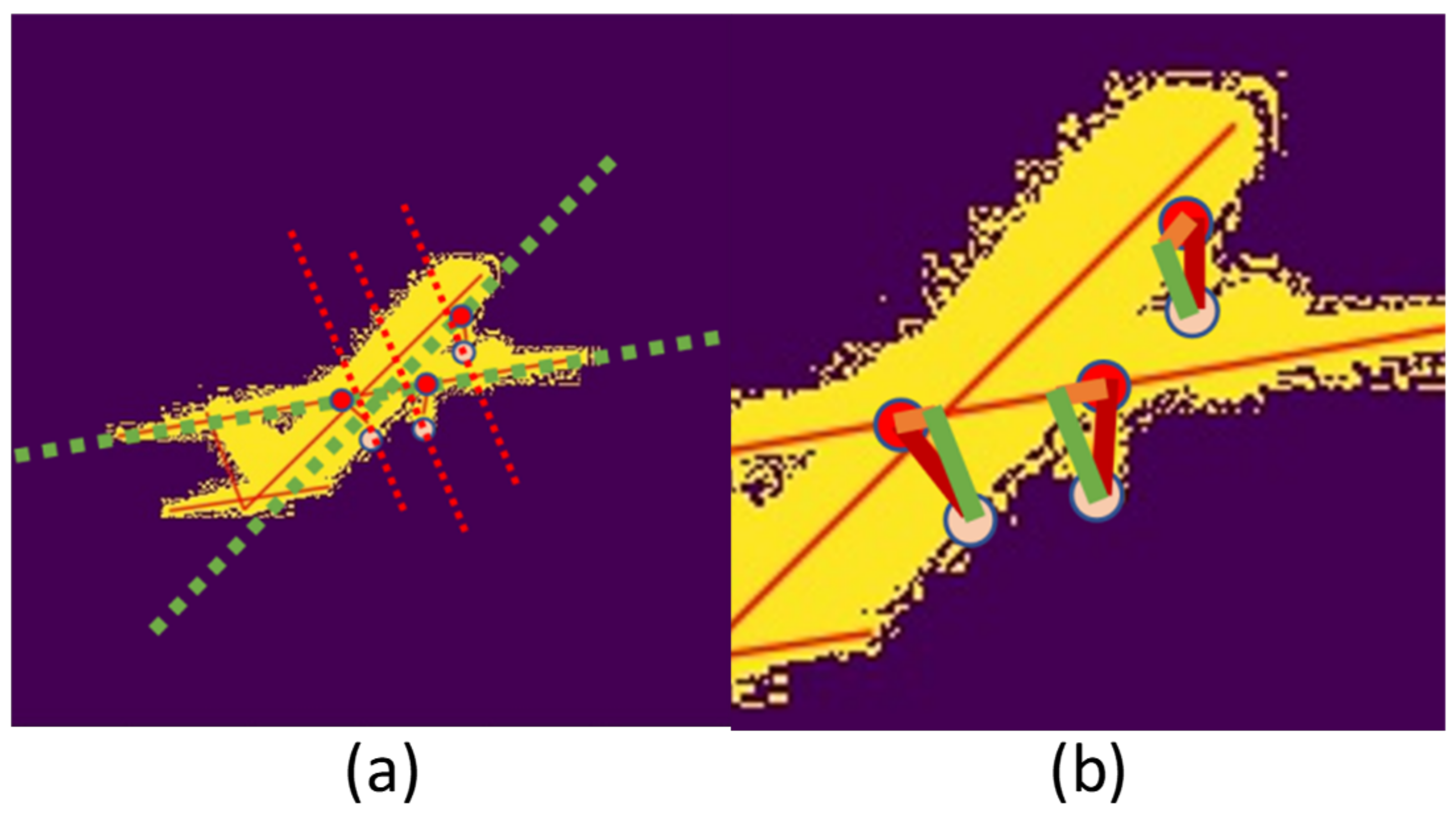 Sensors 21 08440 g003