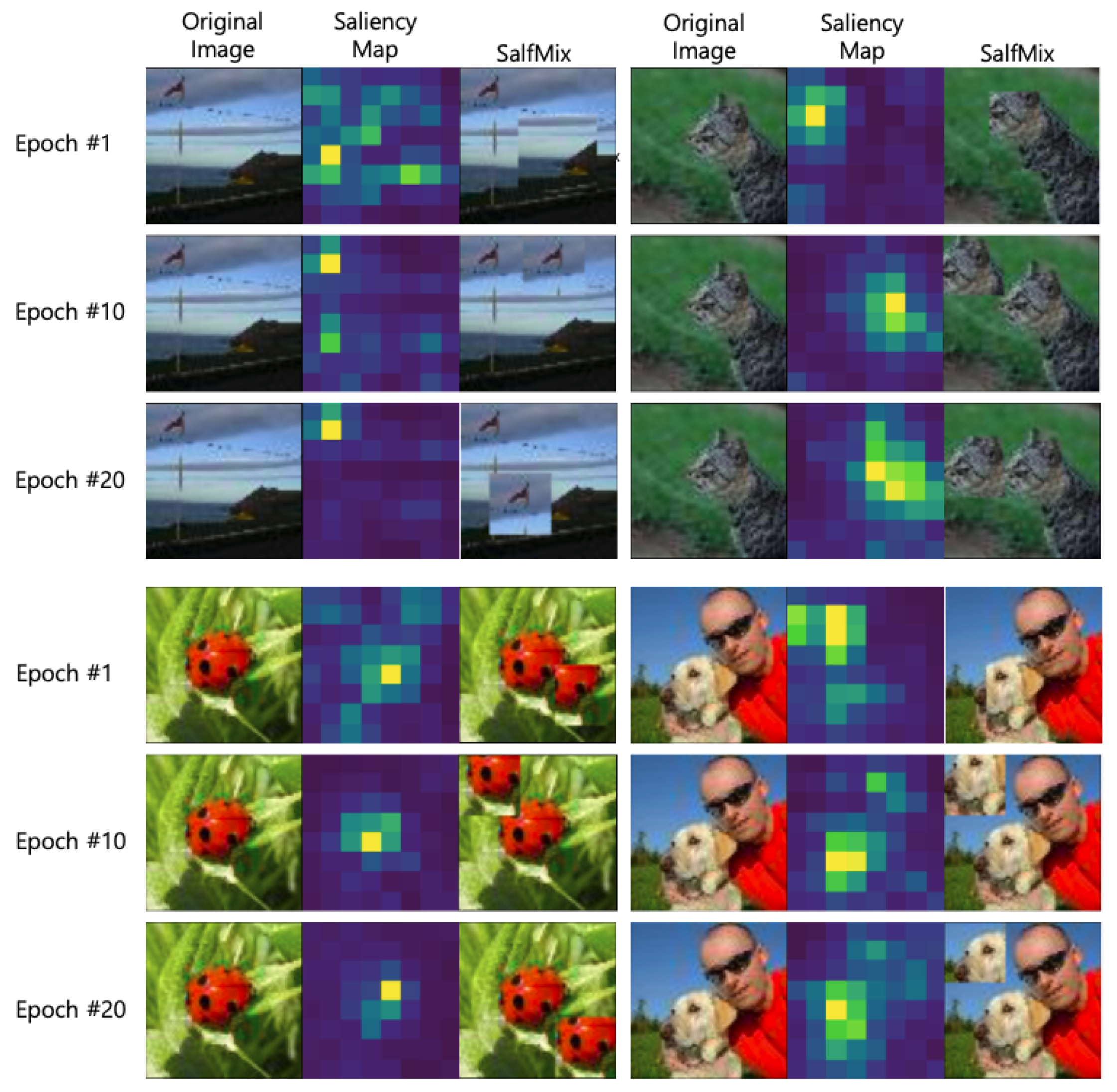Sensors 21 08444 g006 550