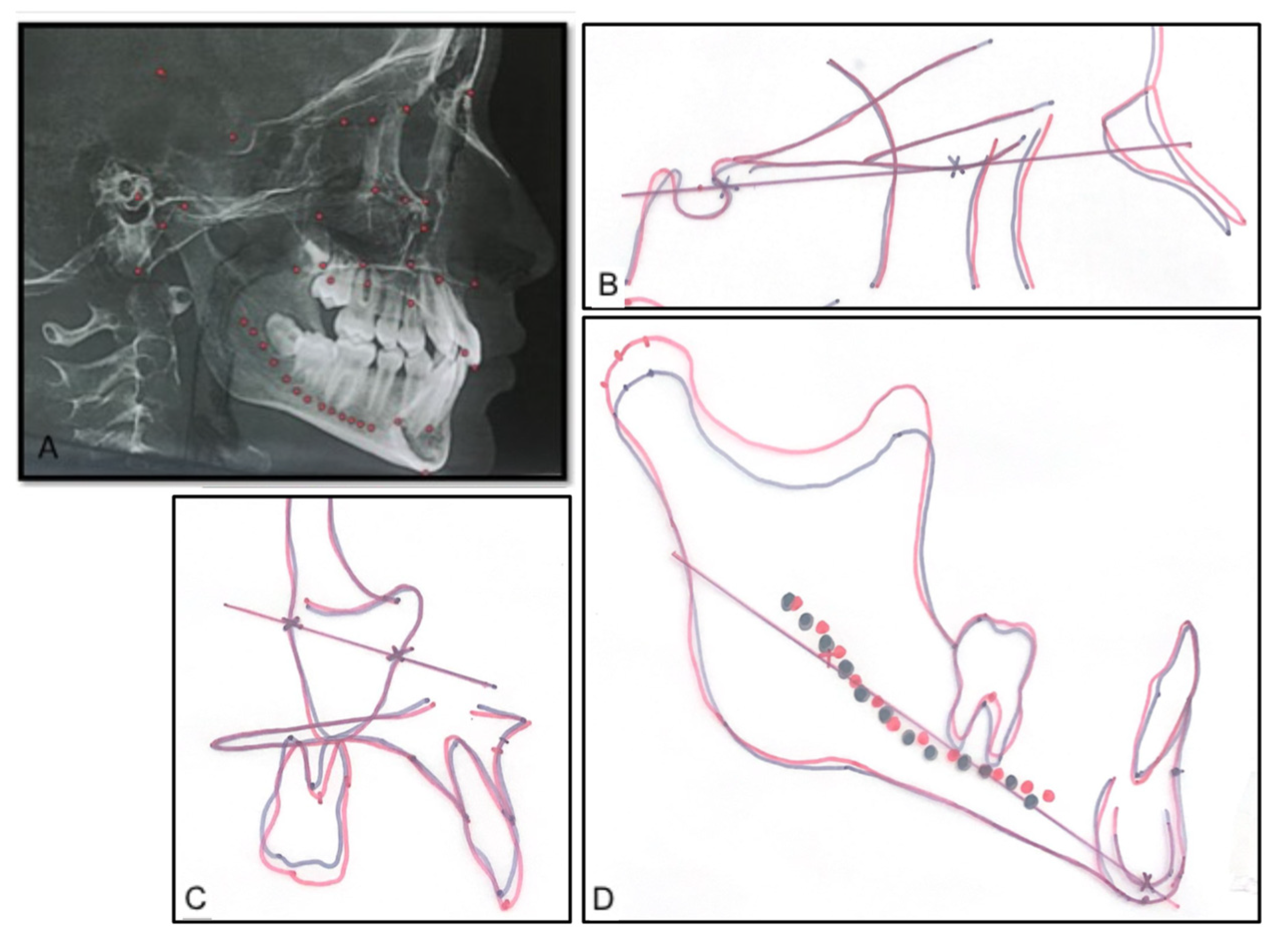 Sensors 21 08484 g002 Sensors 21 08484 g002