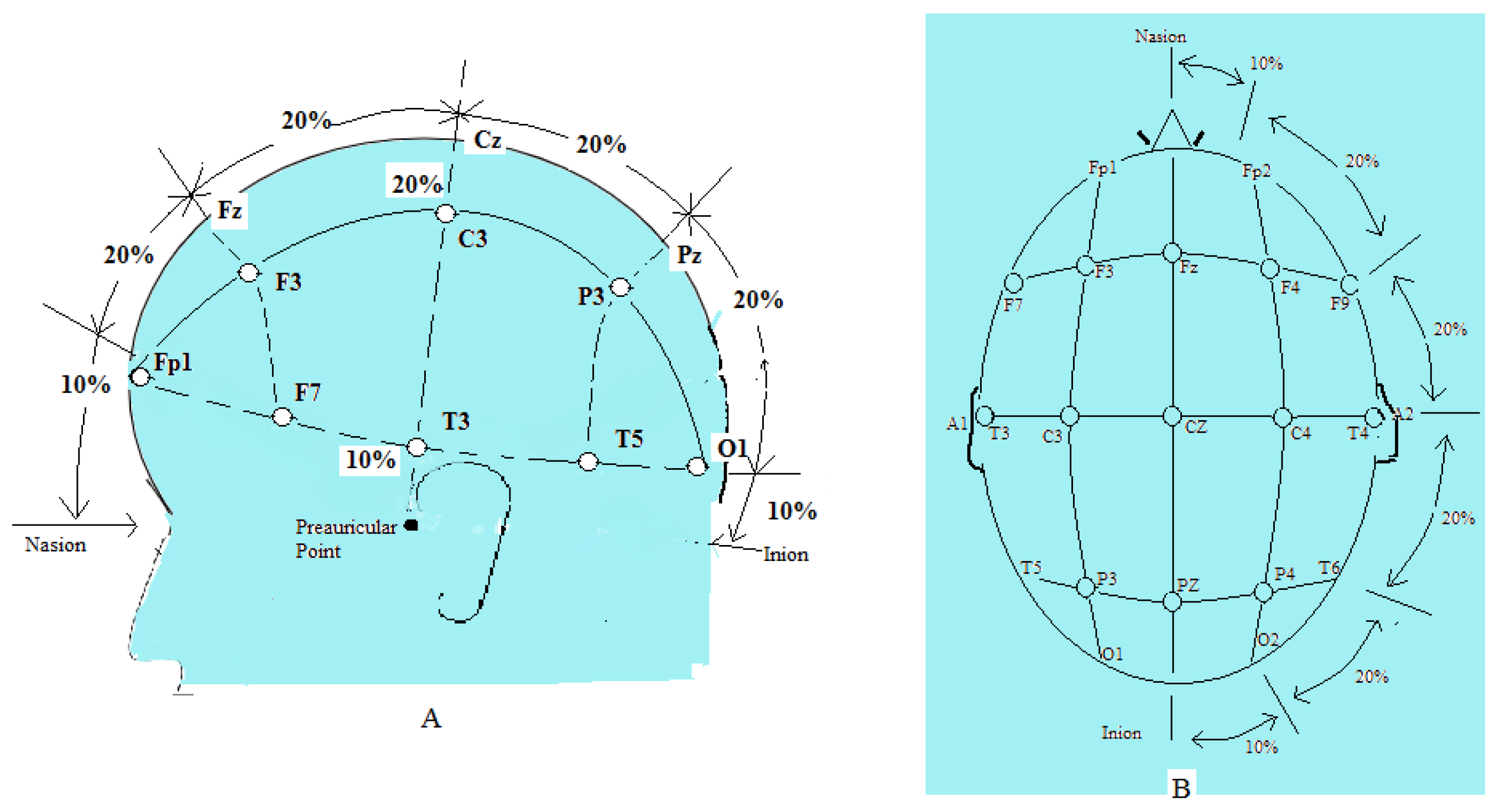 Sensors 21 08485 g001 550