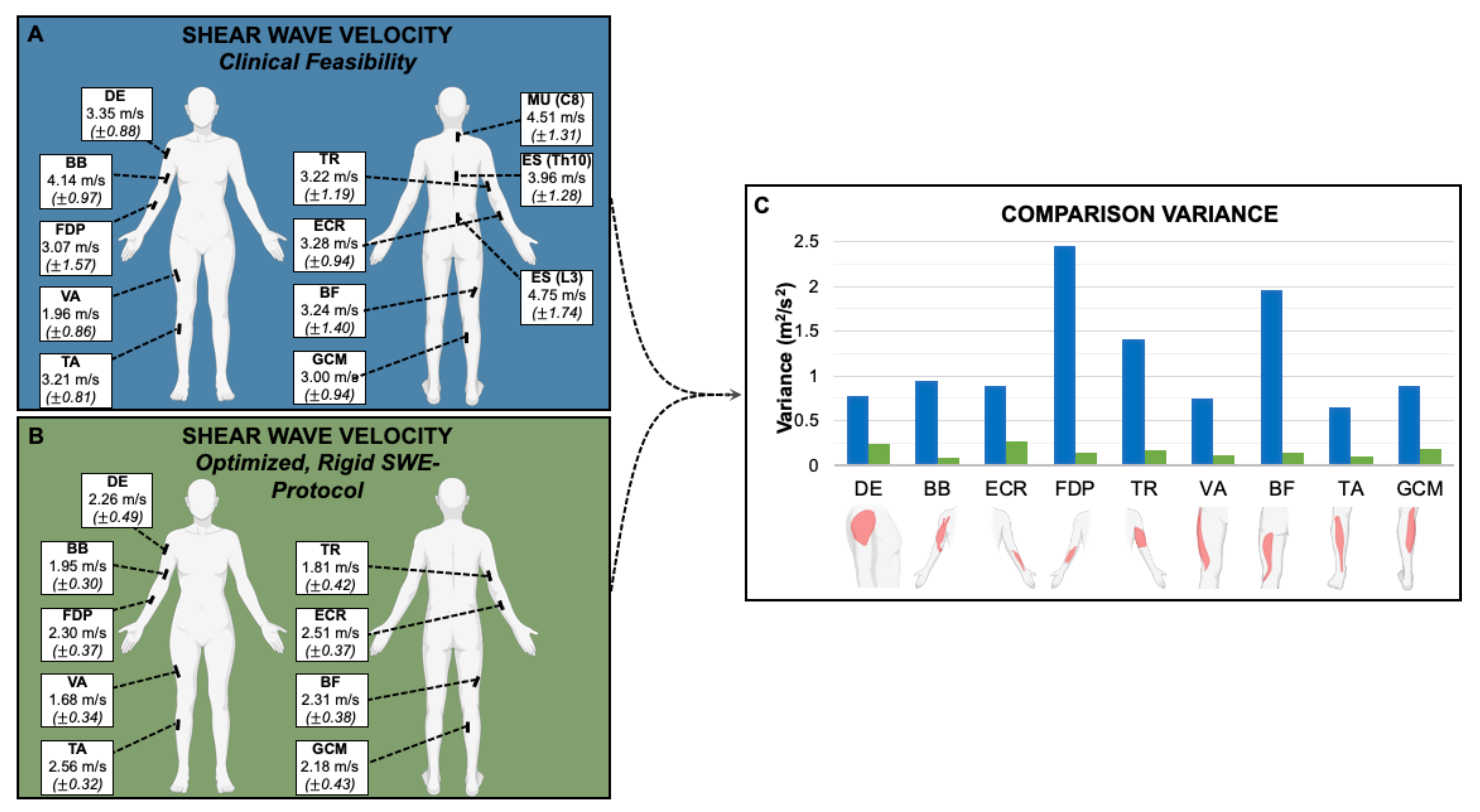Sensors 21 08490 g001