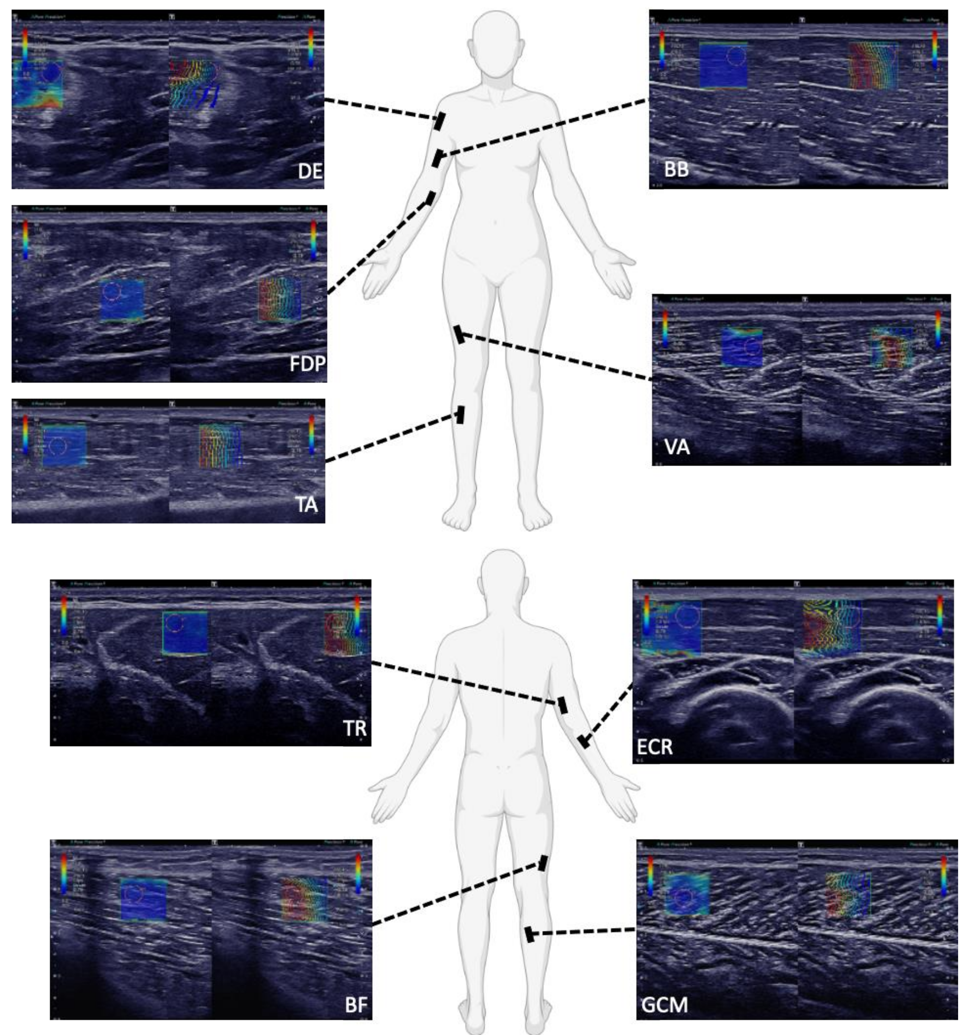 Sensors 21 08490 g0a1