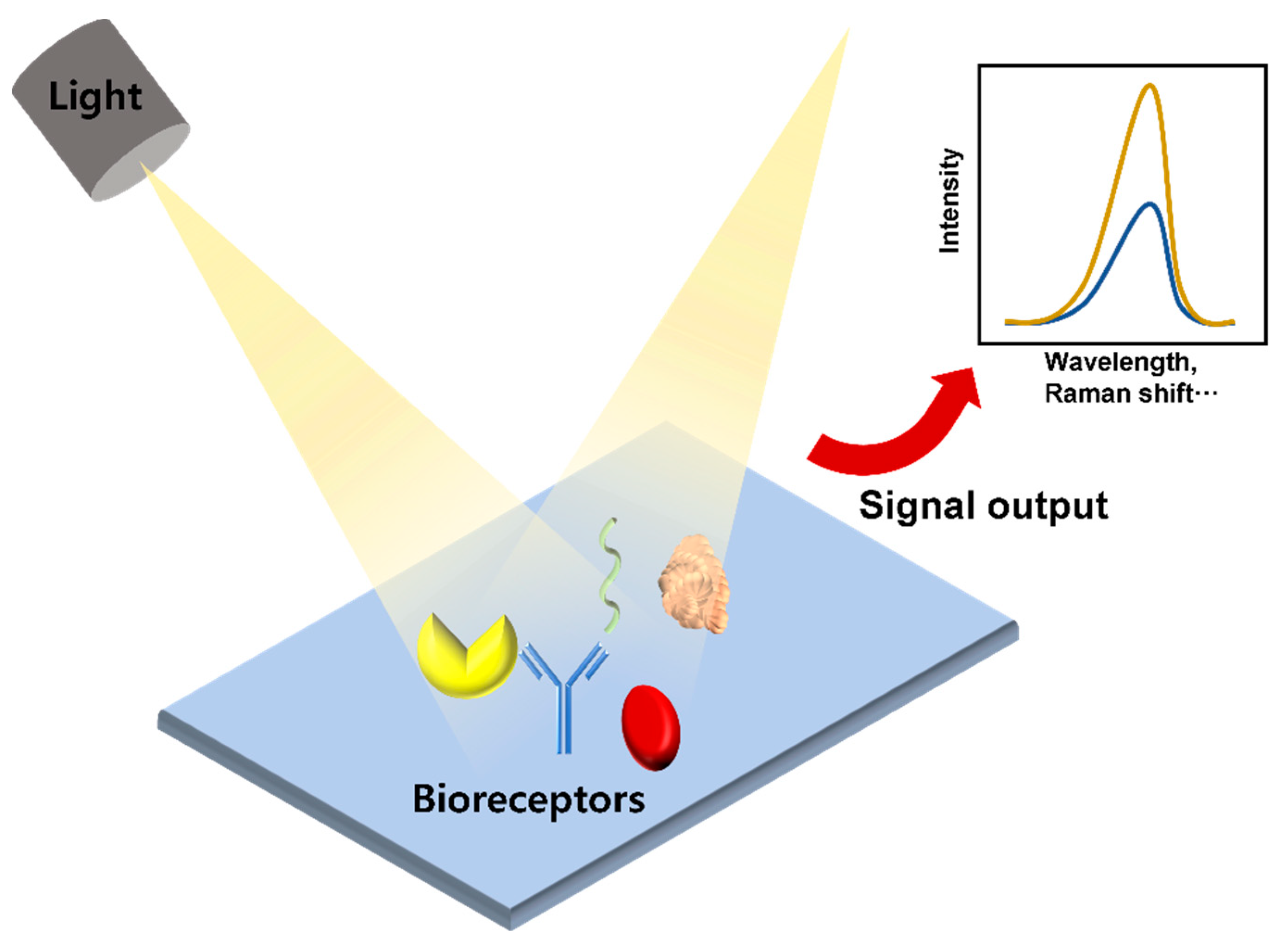 Sensors 21 08491 g004