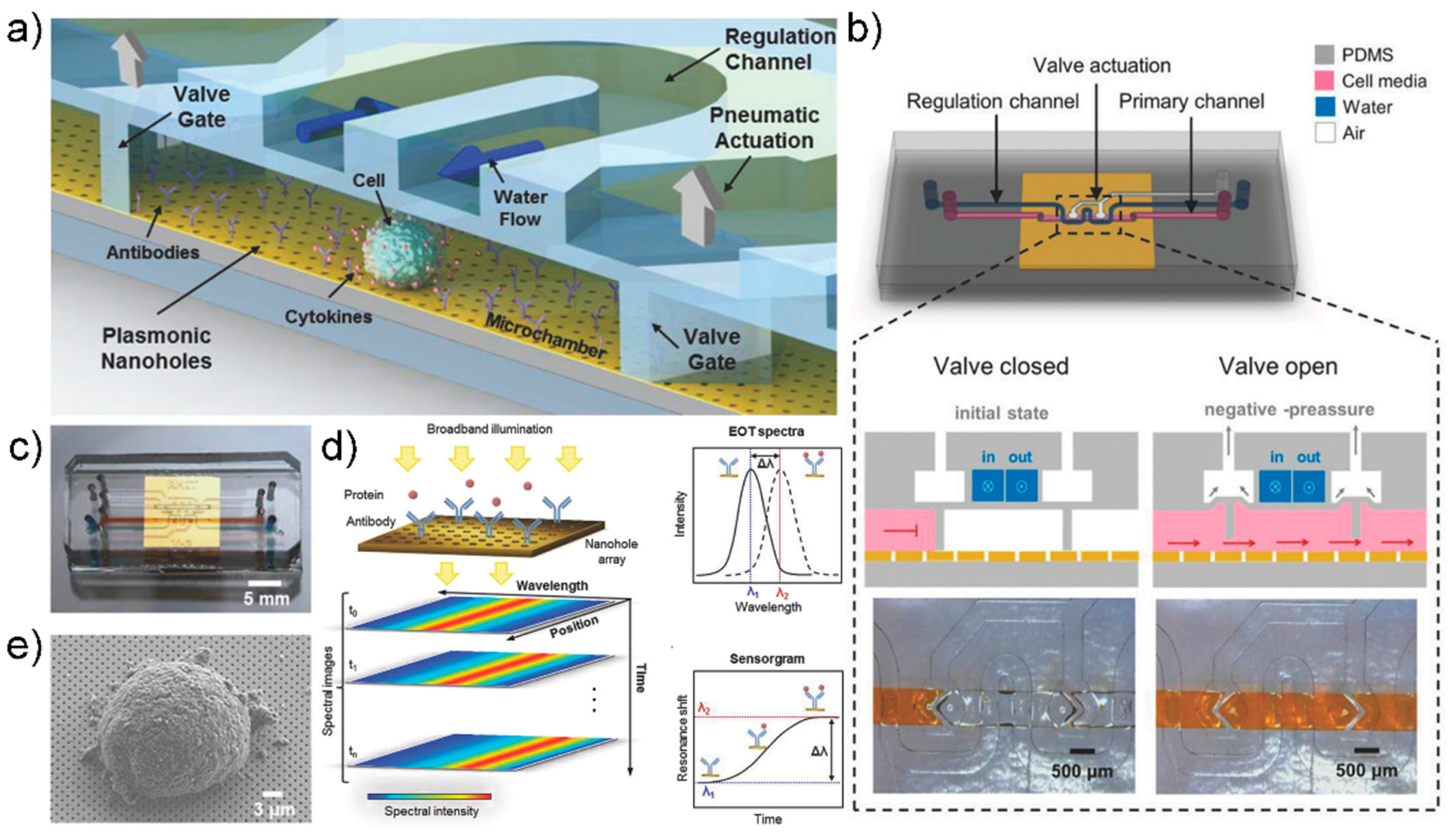 Sensors 21 08491 g010