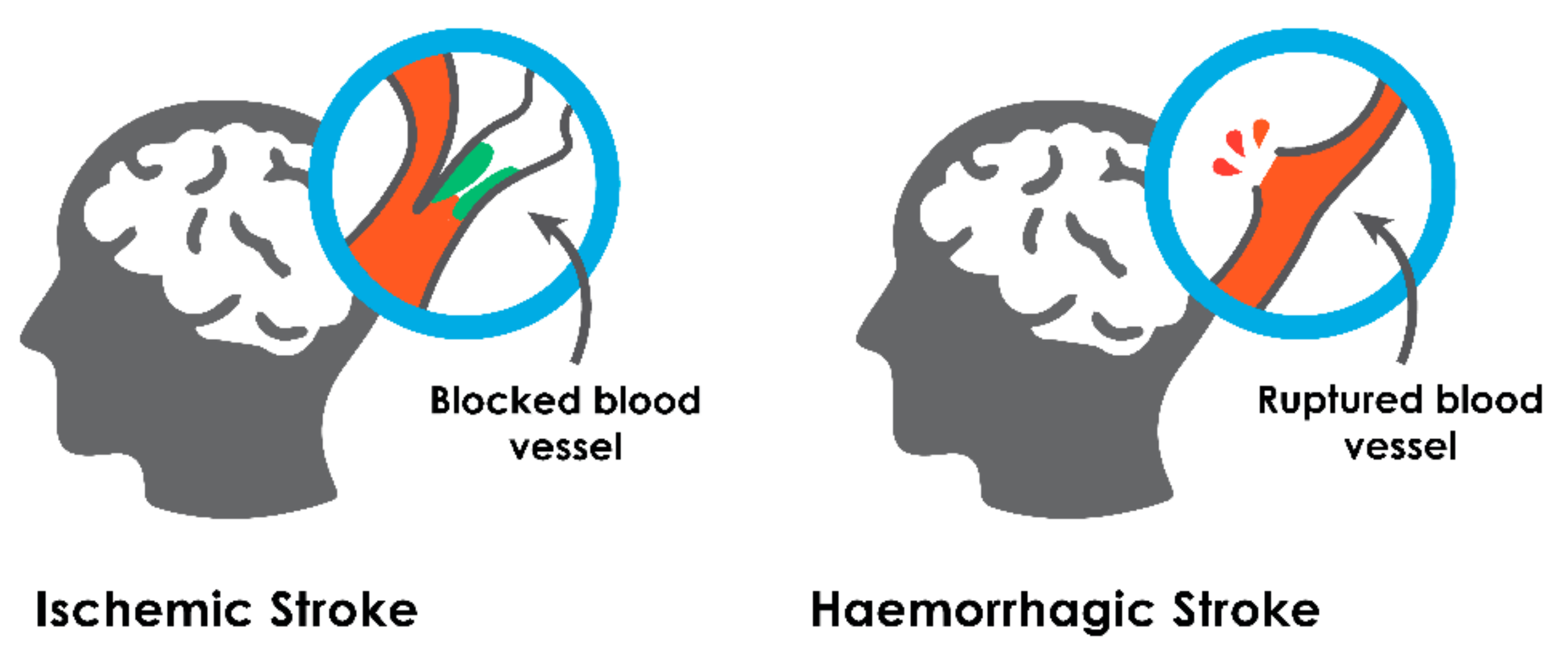 Sensors 21 08507 g001 550