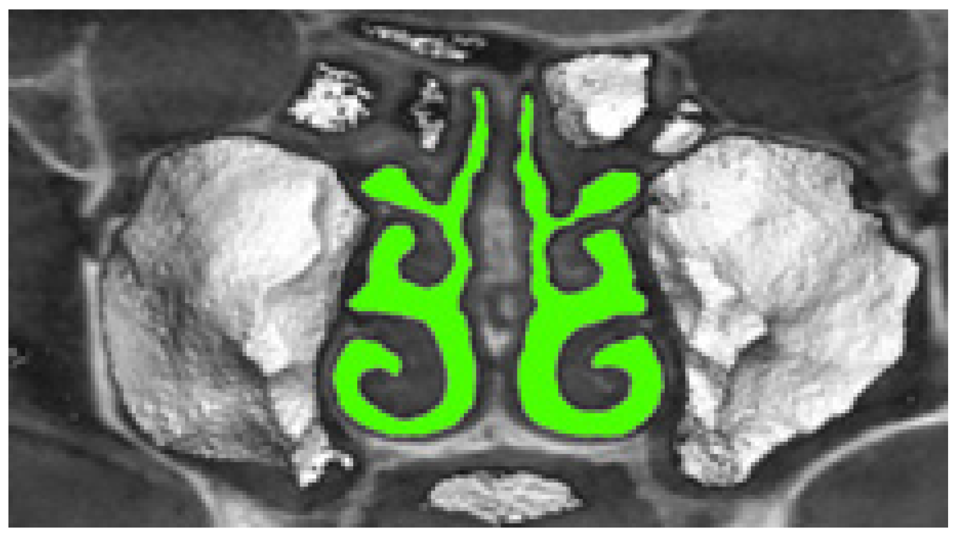 Sensors 21 08508 g011