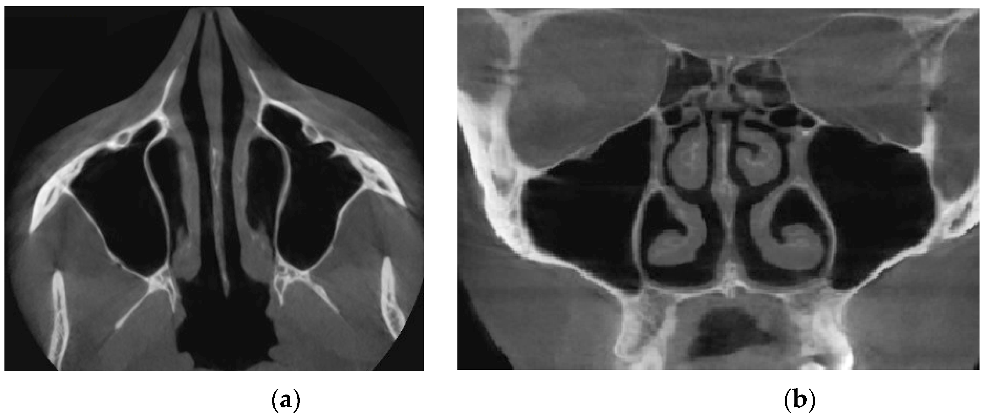 Sensors 21 08508 g012