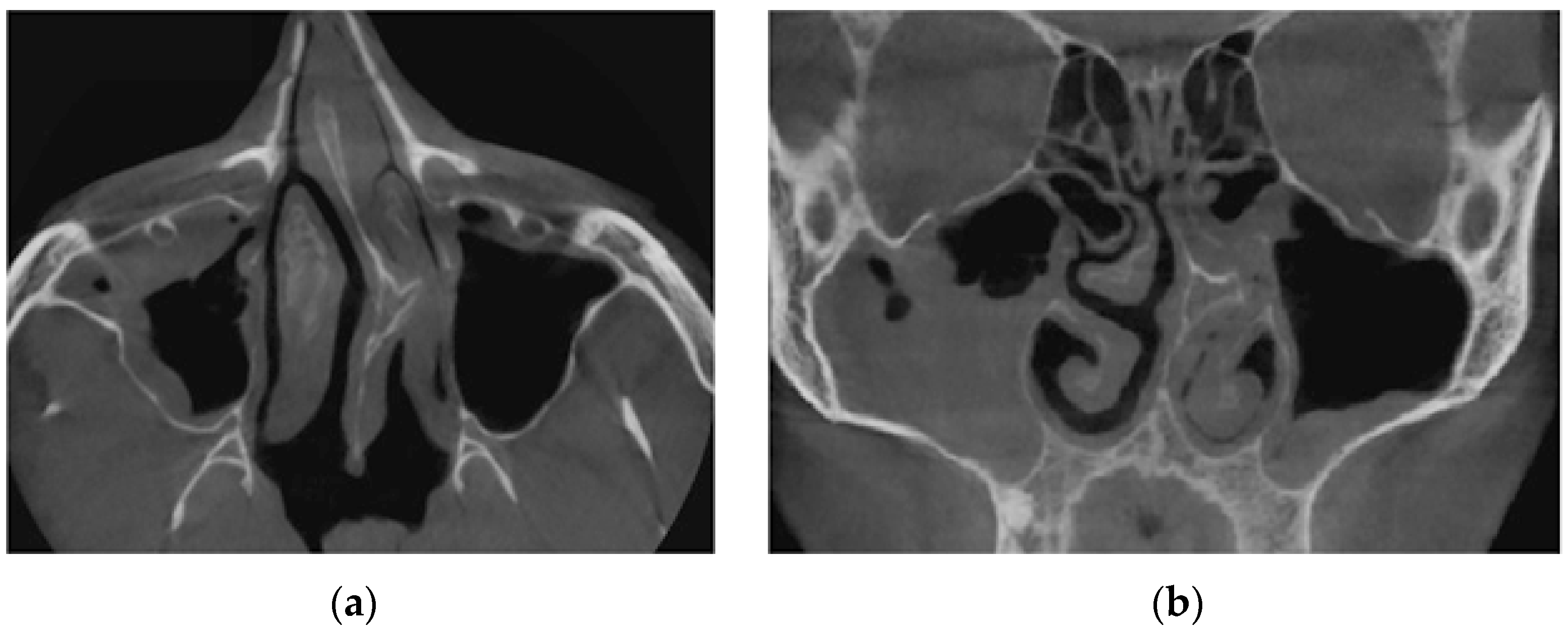 Sensors 21 08508 g013