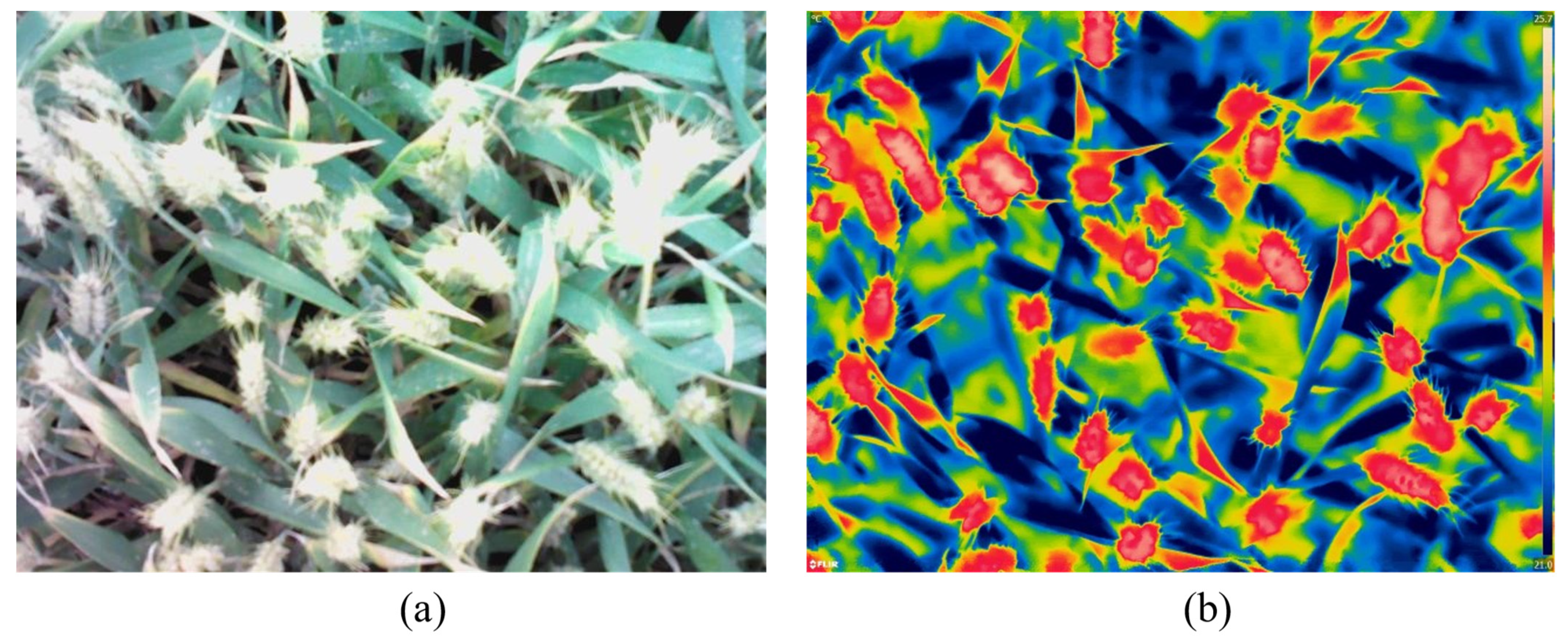 Sensors 22 00031 g001