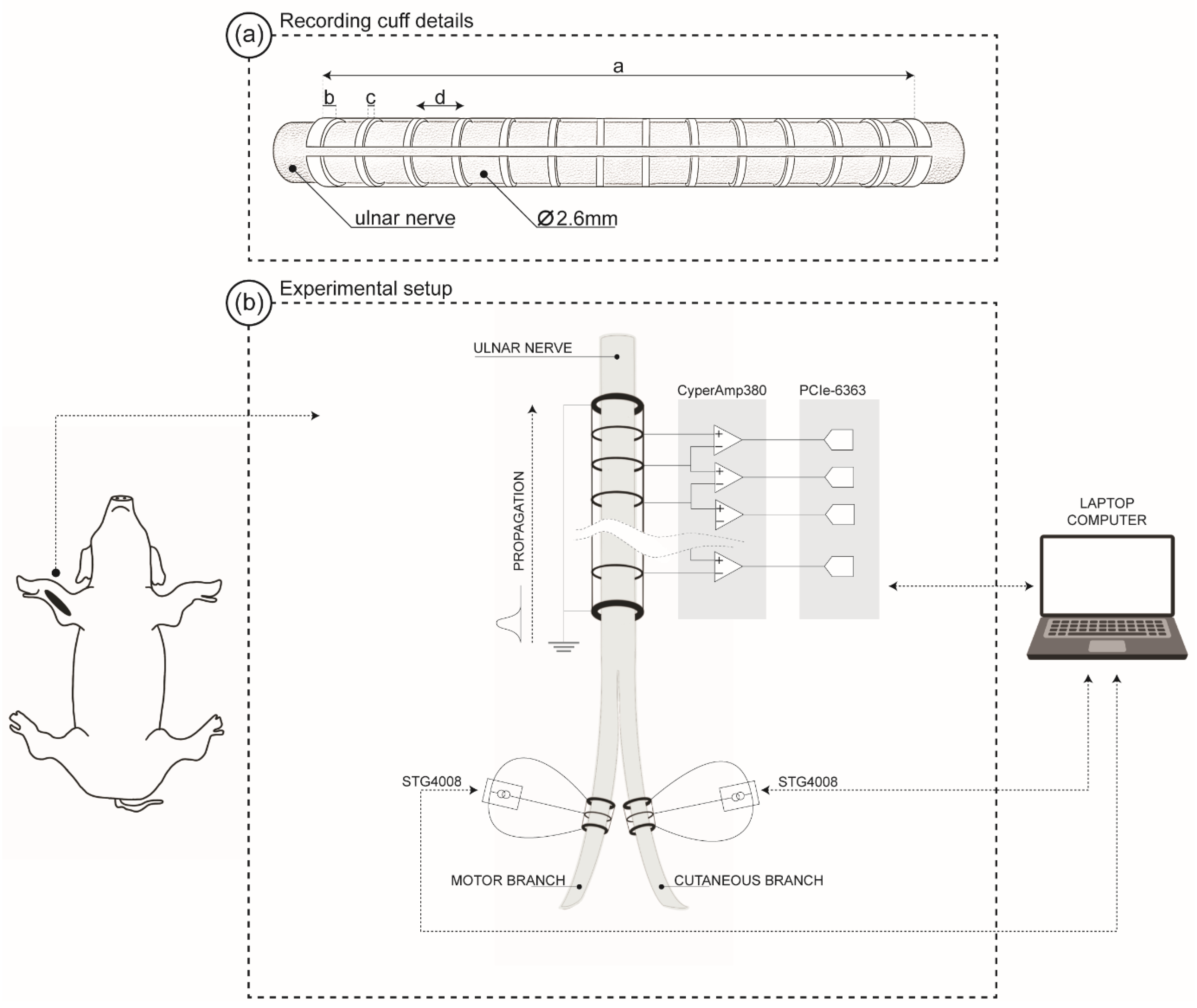 Sensors 22 00058 g001