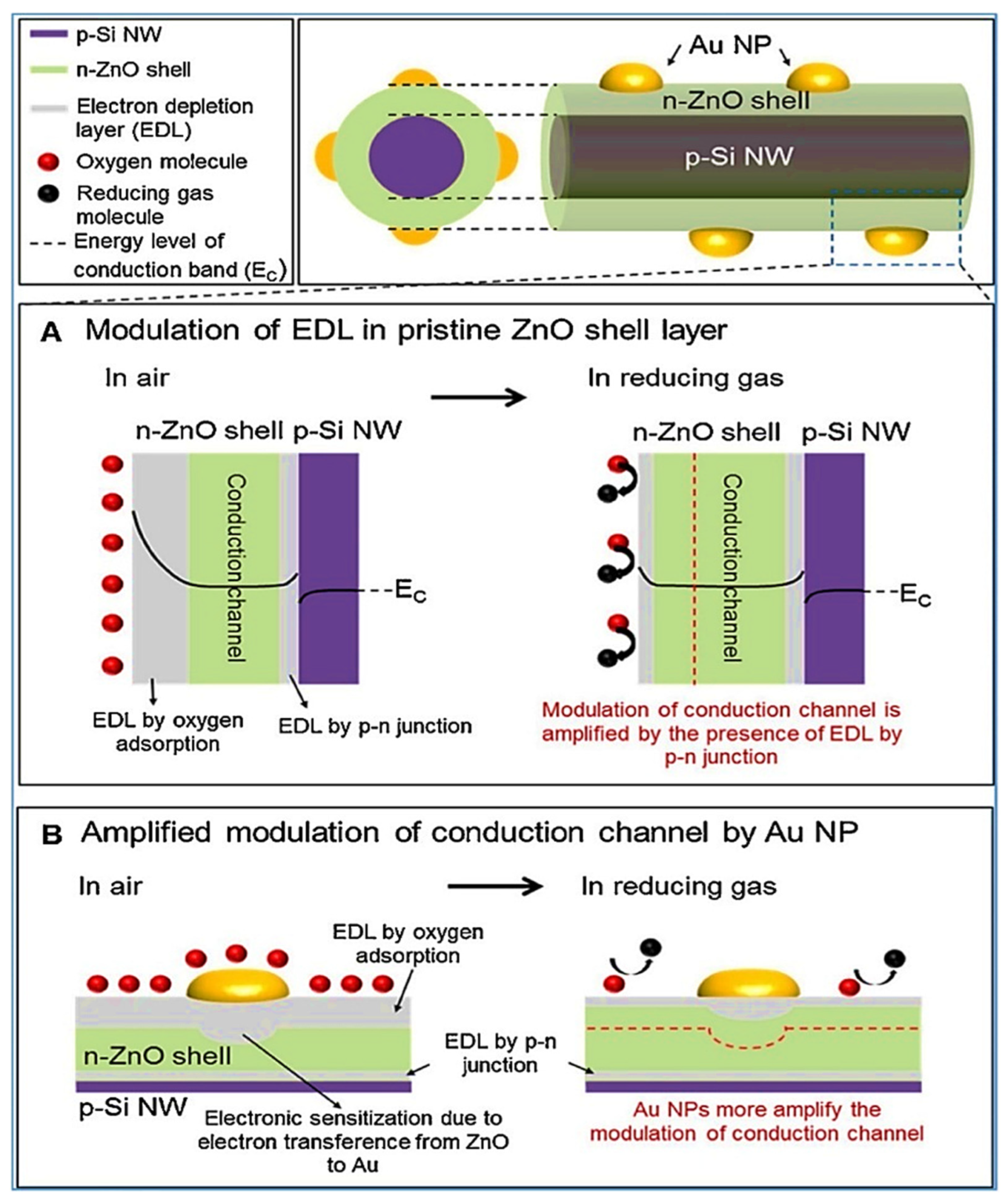 Sensors 22 00061 g011