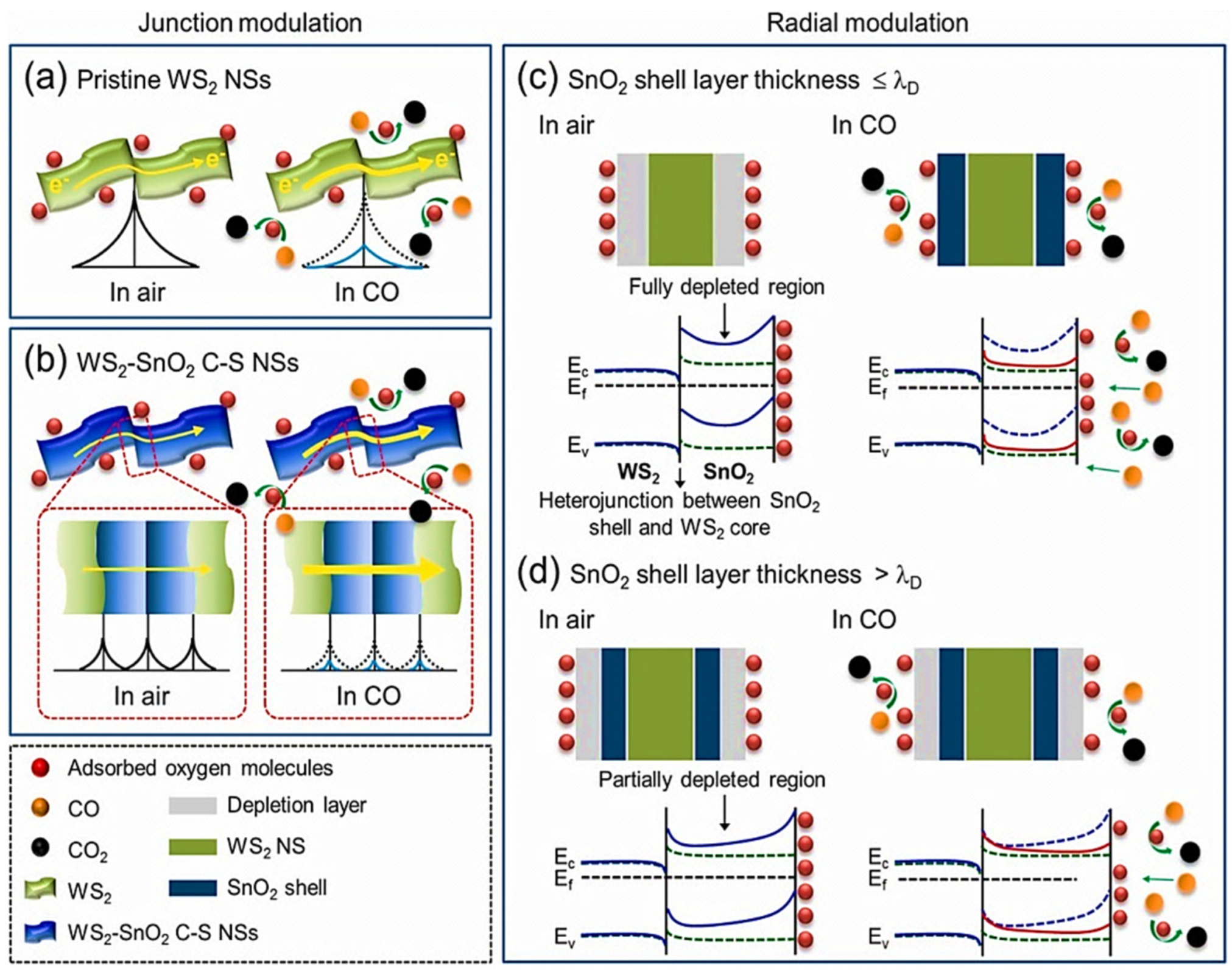 Sensors 22 00061 g021