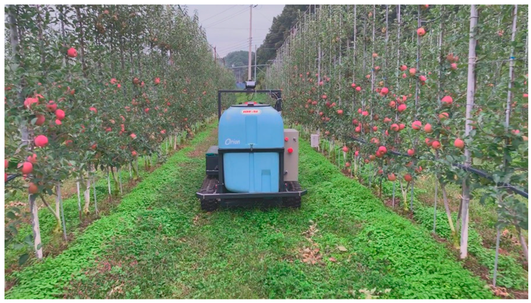 Sensors 22 00114 g012 550