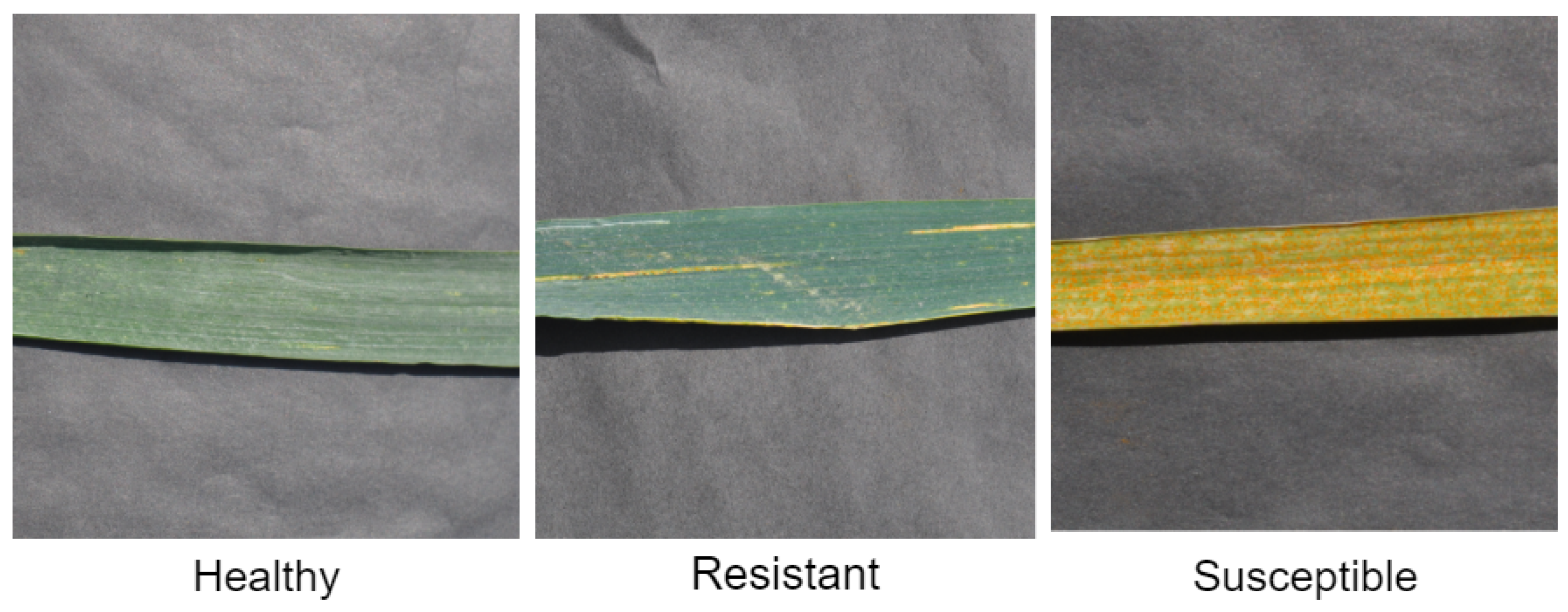 Sensors 22 00146 g003 550