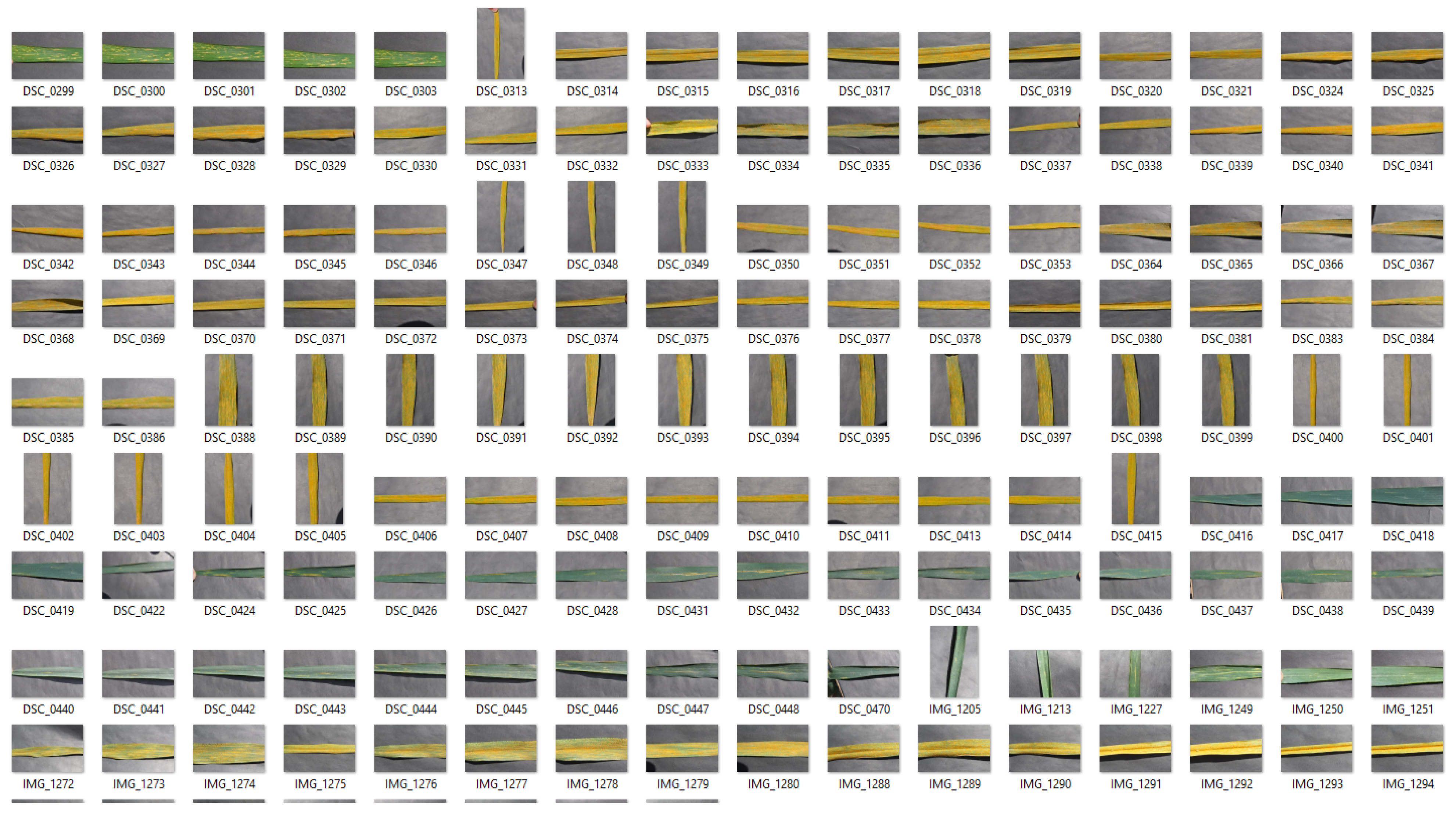Sensors 22 00146 g004 550