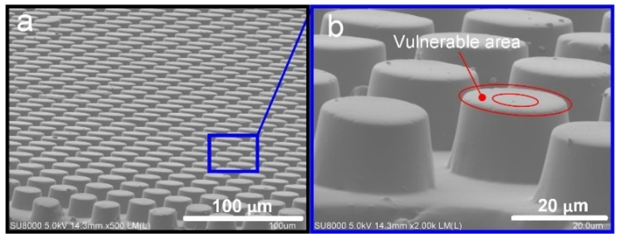 Sensors 22 00149 g008 550