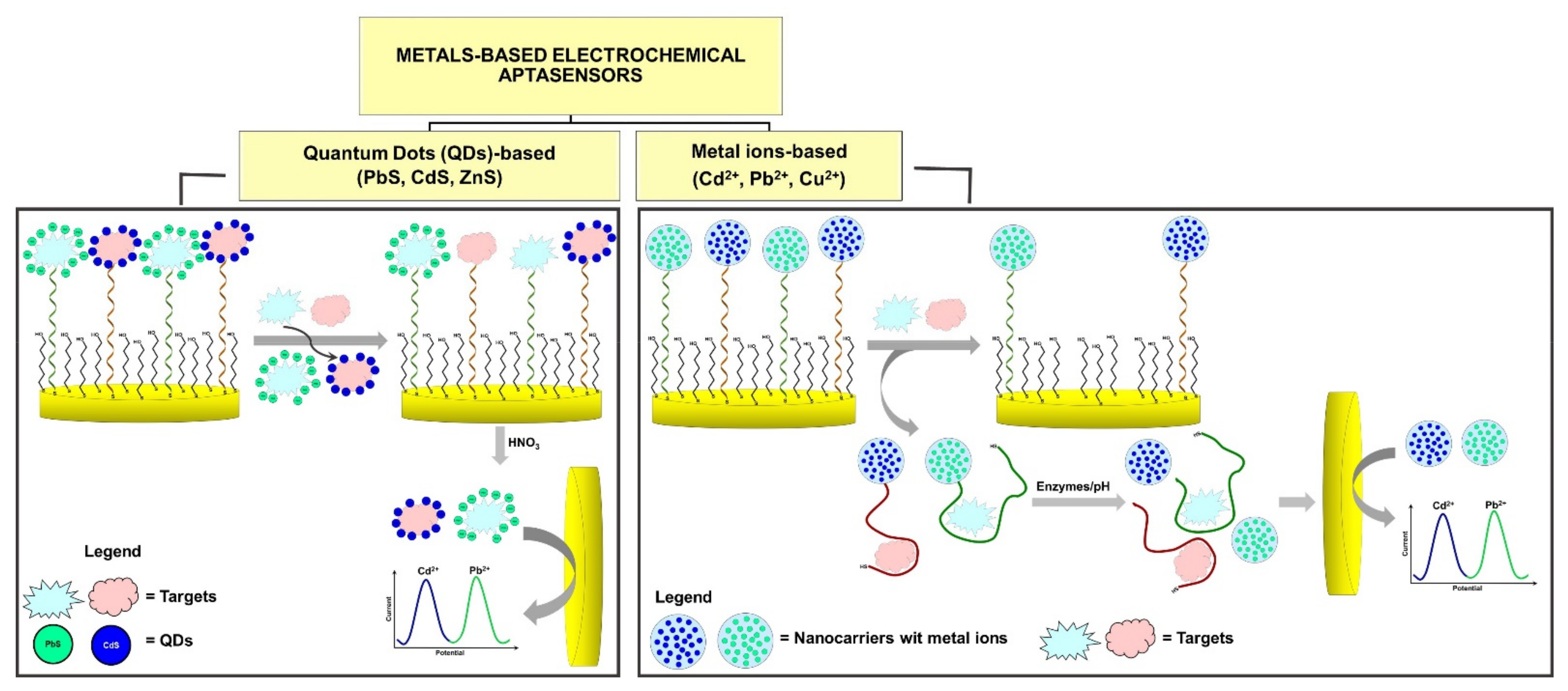 Sensors 22 00161 sch002 550