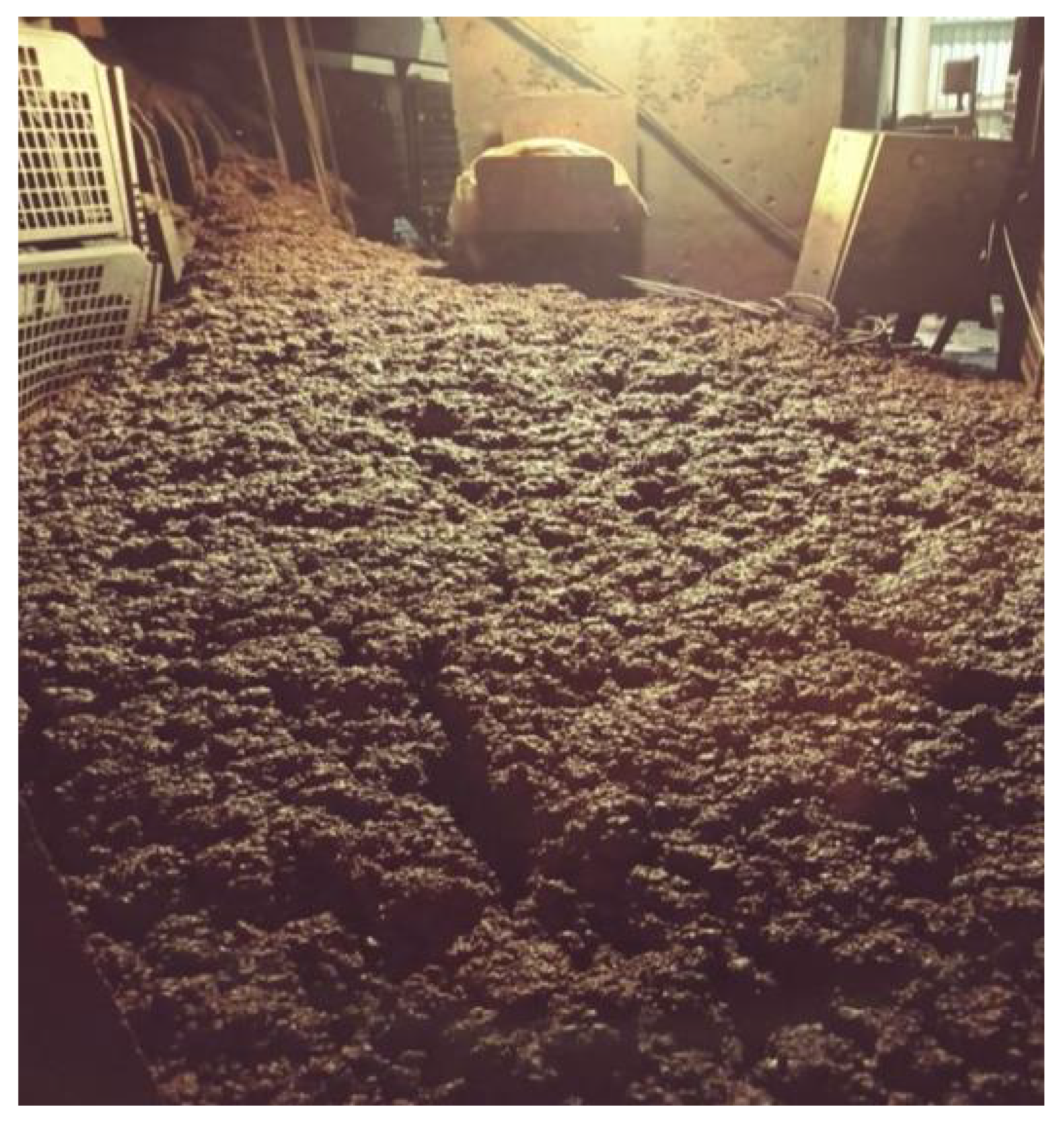 Sensors 22 00169 g001 550