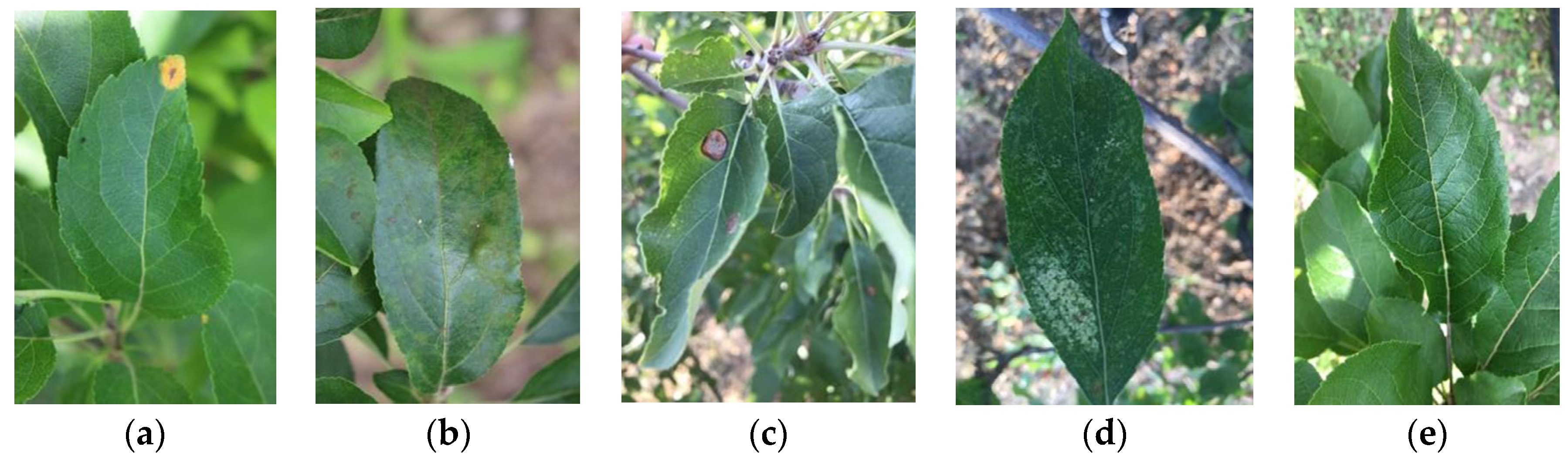 Sensors 22 00173 g001 550