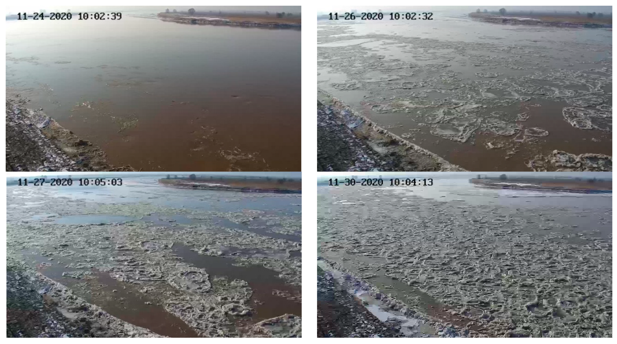 Sensors 22 00176 g007a