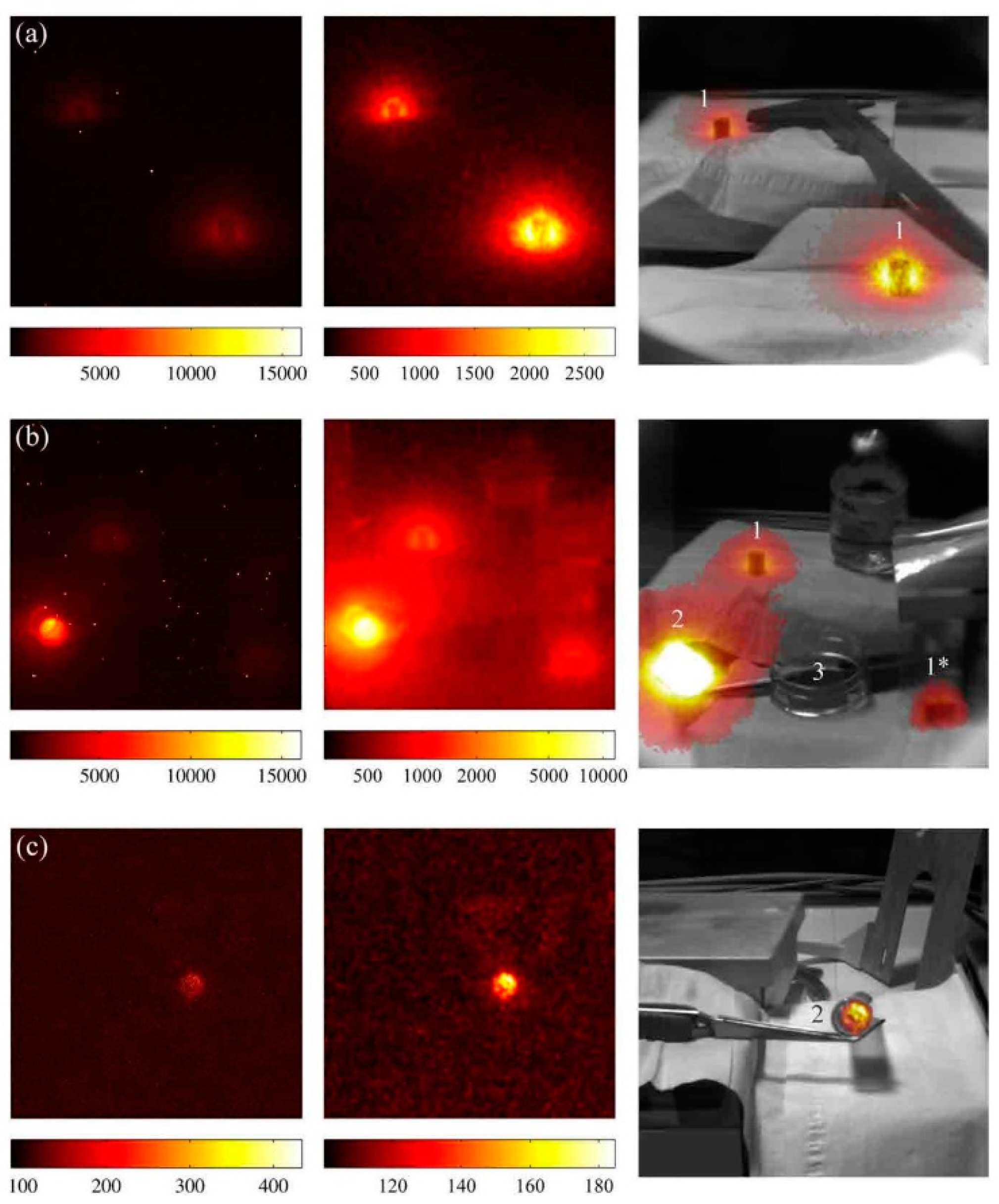 Sensors 22 00202 g004