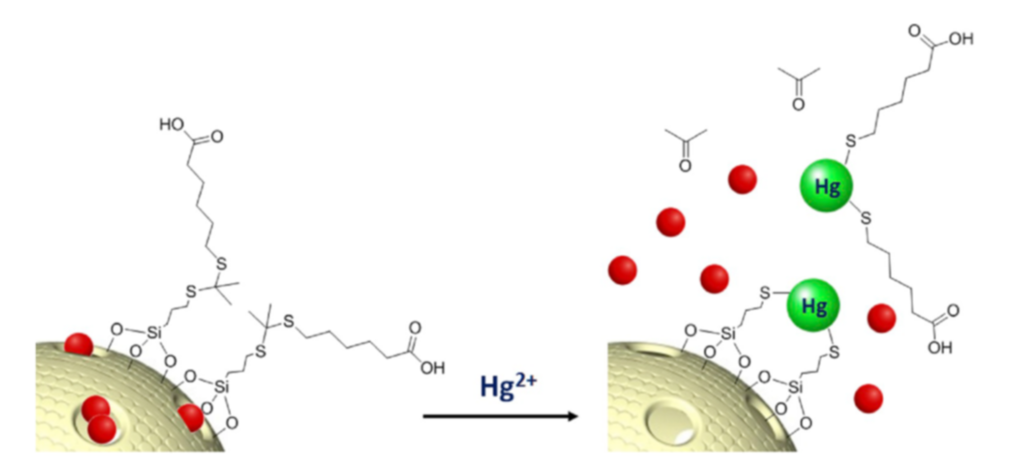 Sensors 22 00261 g007
