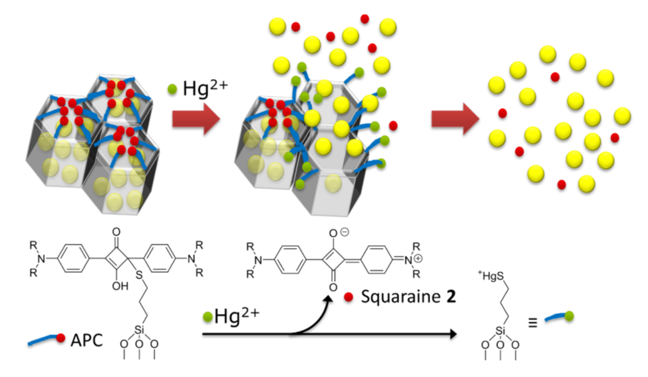 Sensors 22 00261 g008