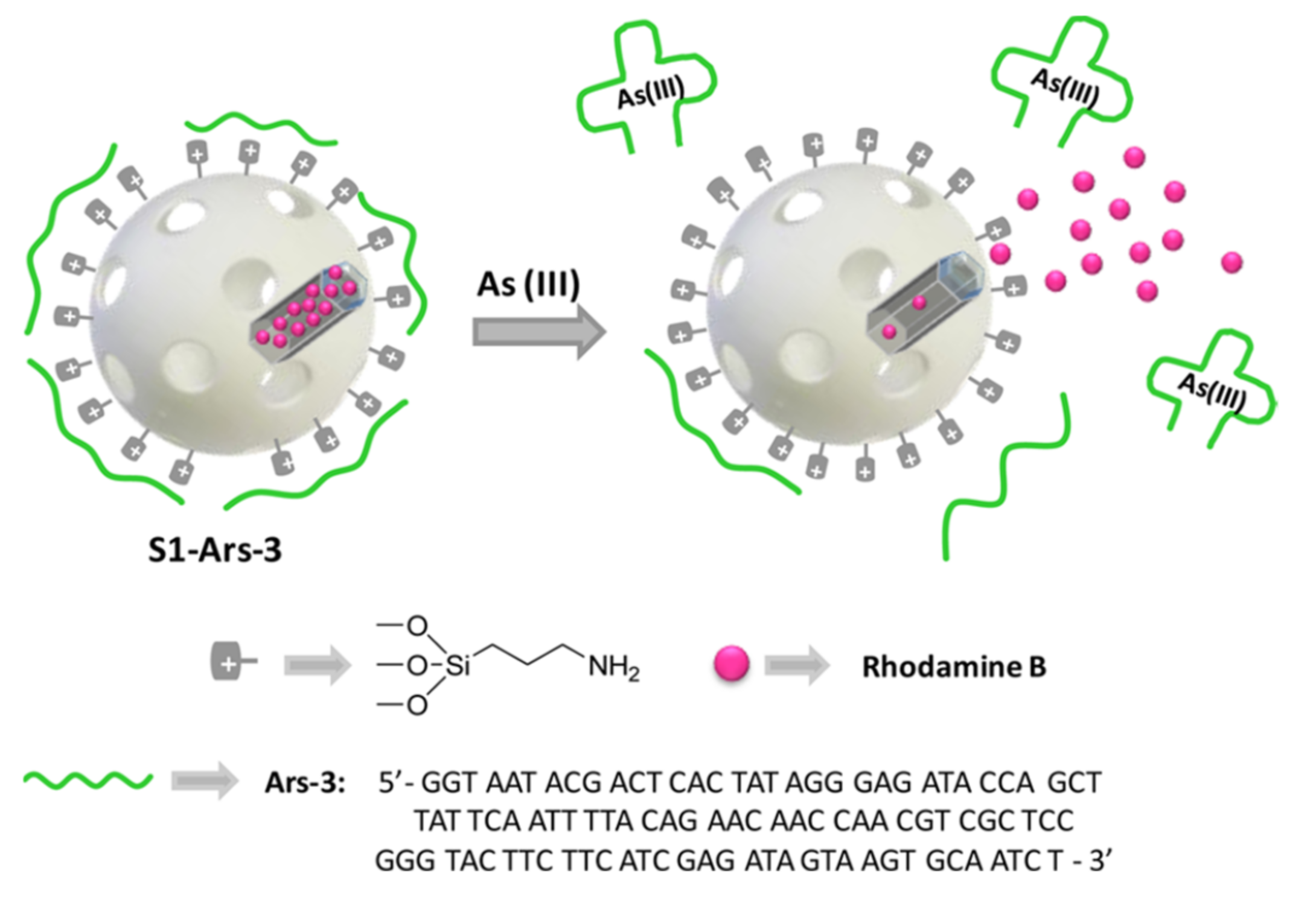 Sensors 22 00261 g009